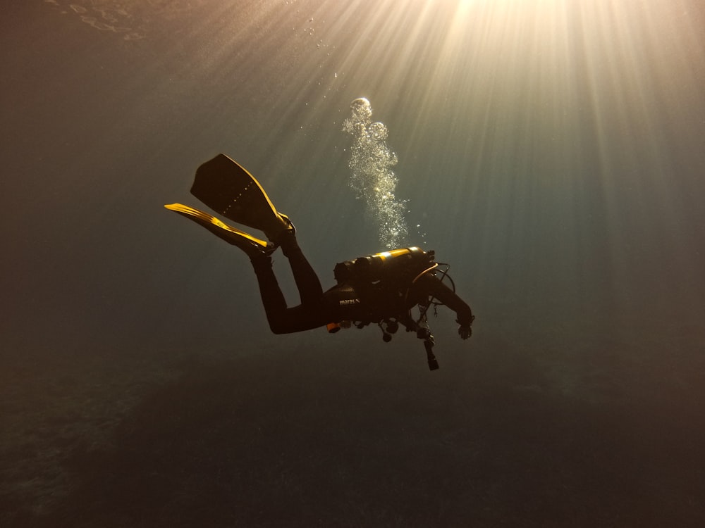 a person in a wet suit diving in the ocean