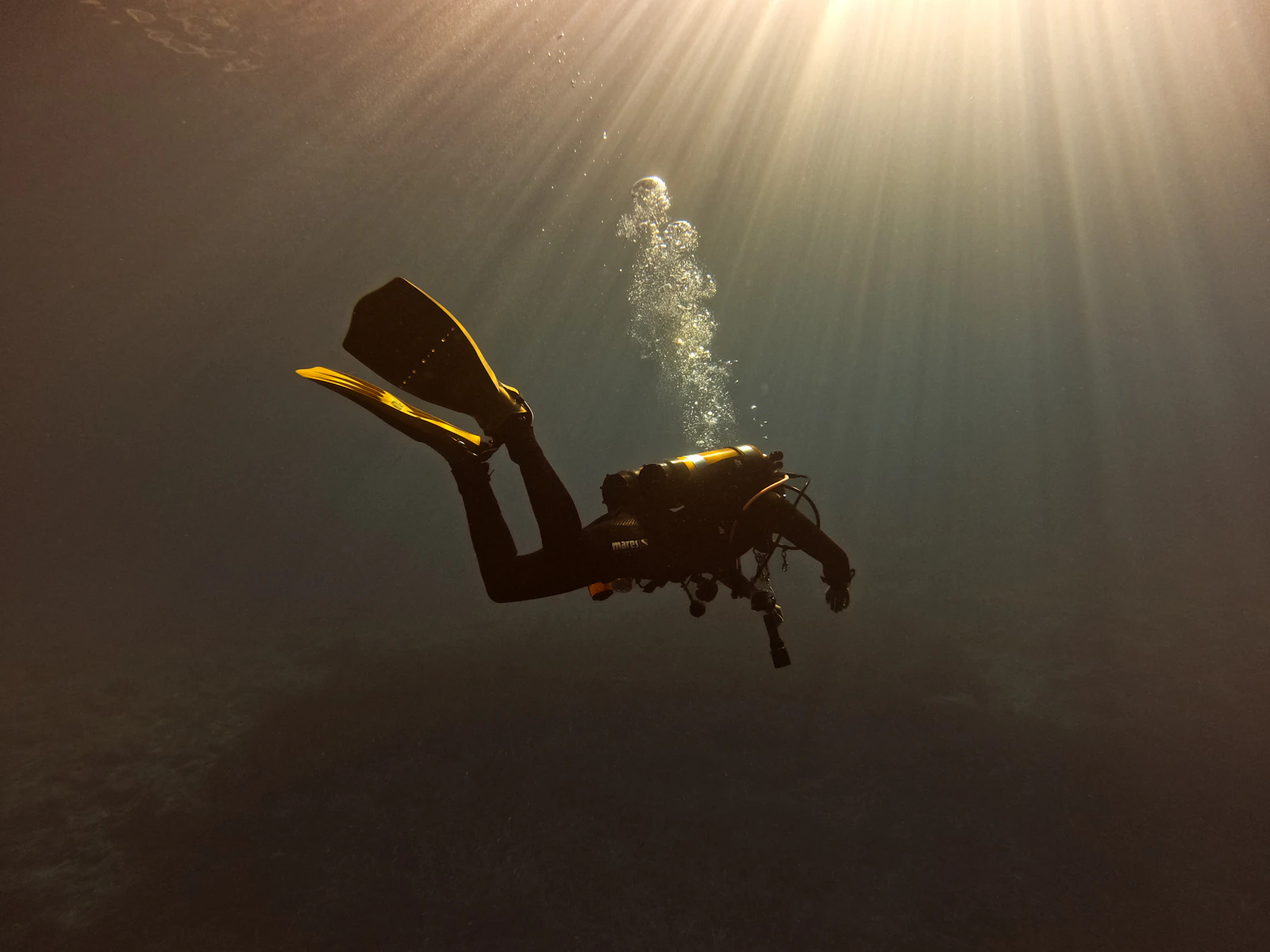 A person in a wetsuit diving in the ocean