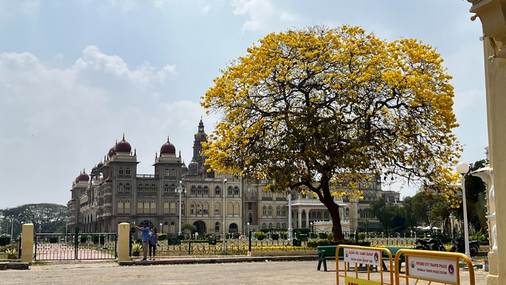 a large building with a tree in front of it