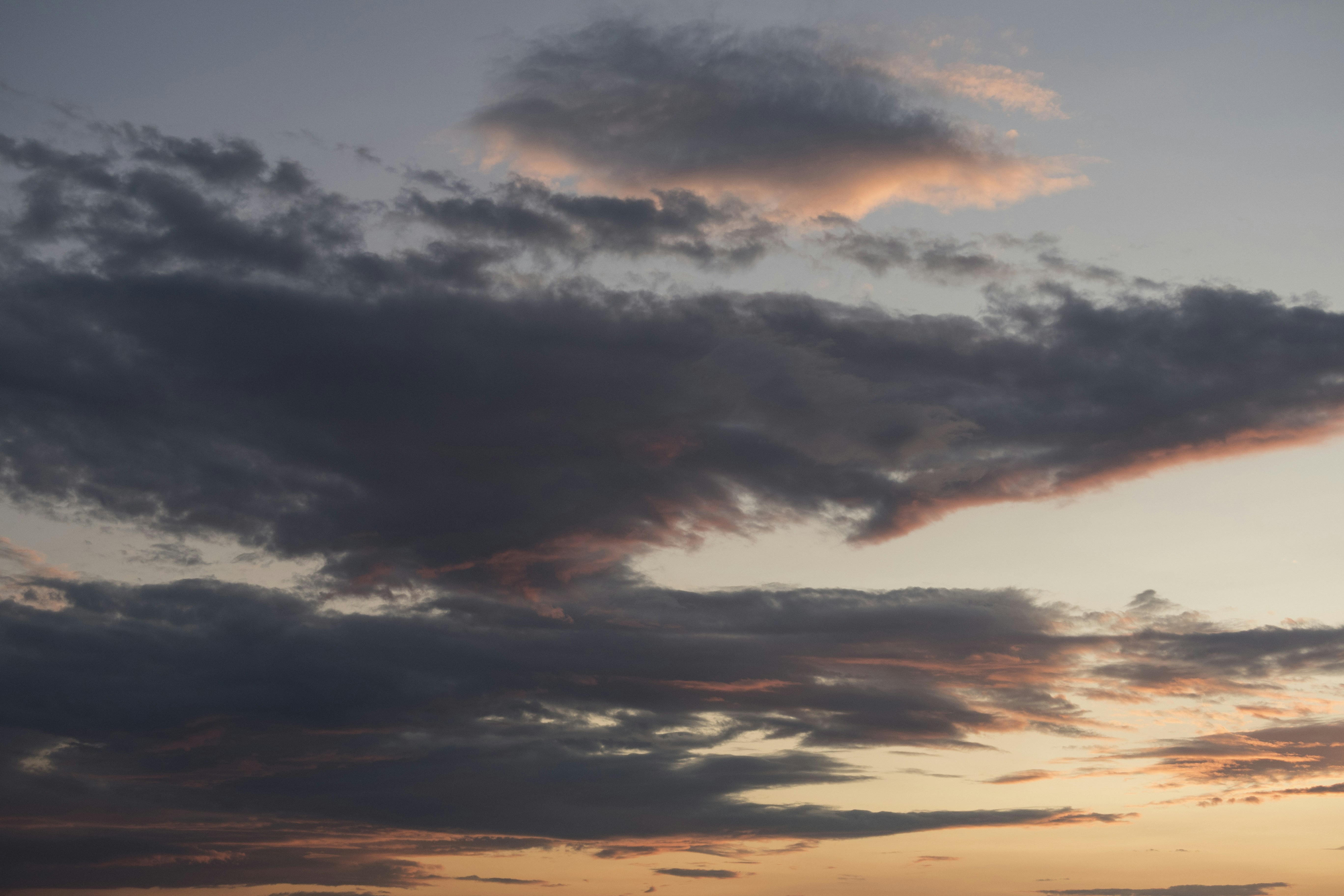 Photo by davidrabinowitz