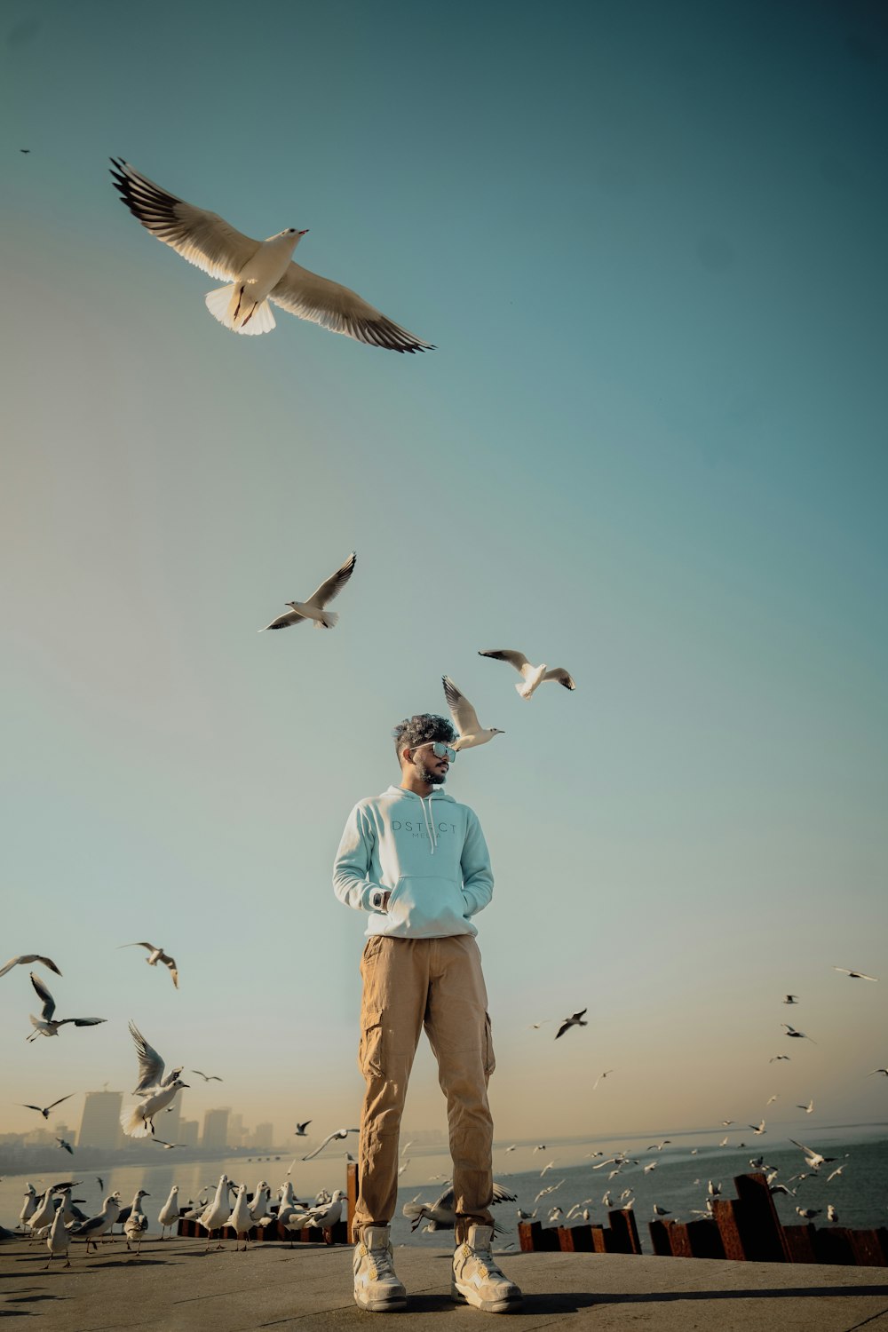 a man standing in front of a flock of seagulls