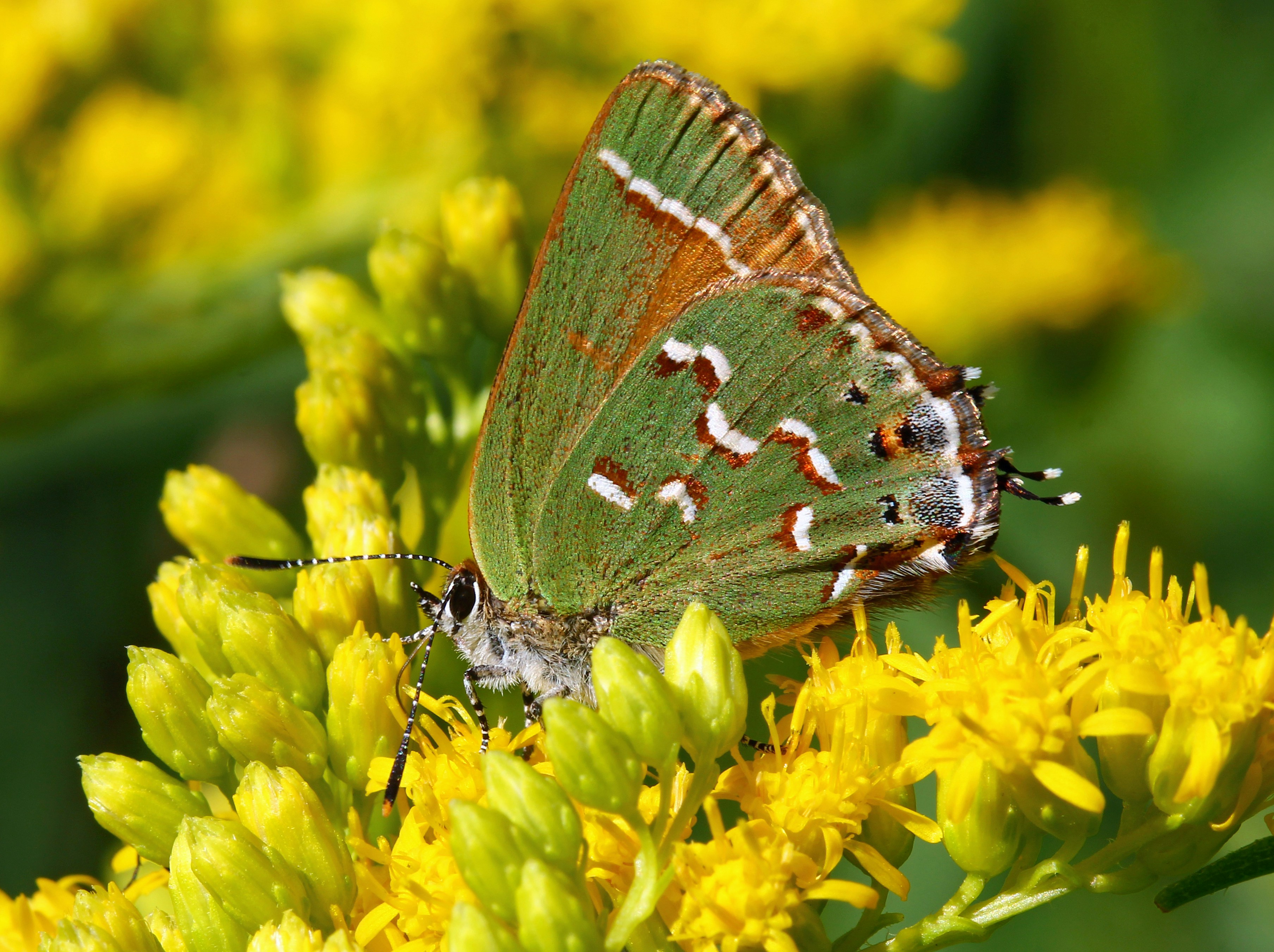 Photo by telliottmbamsc