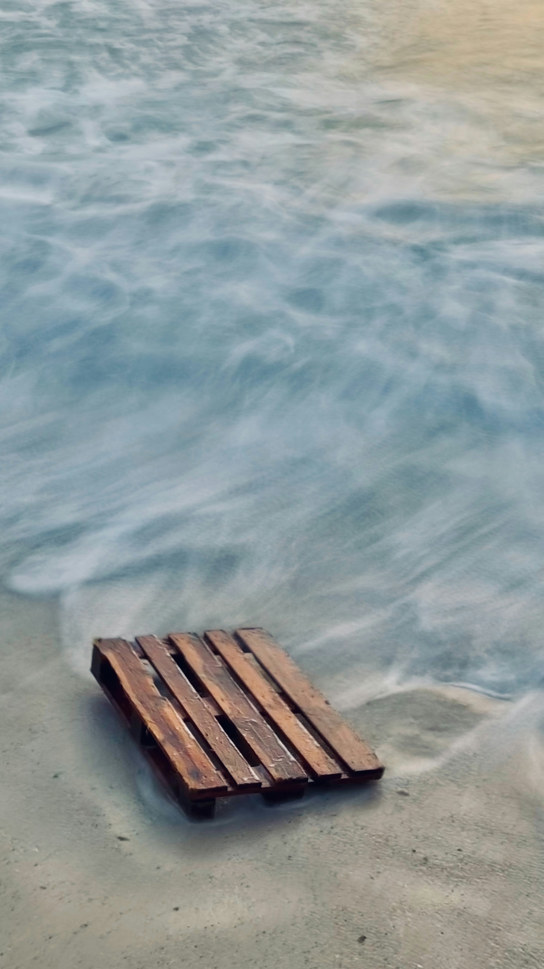 Photo by mehrabaniadam