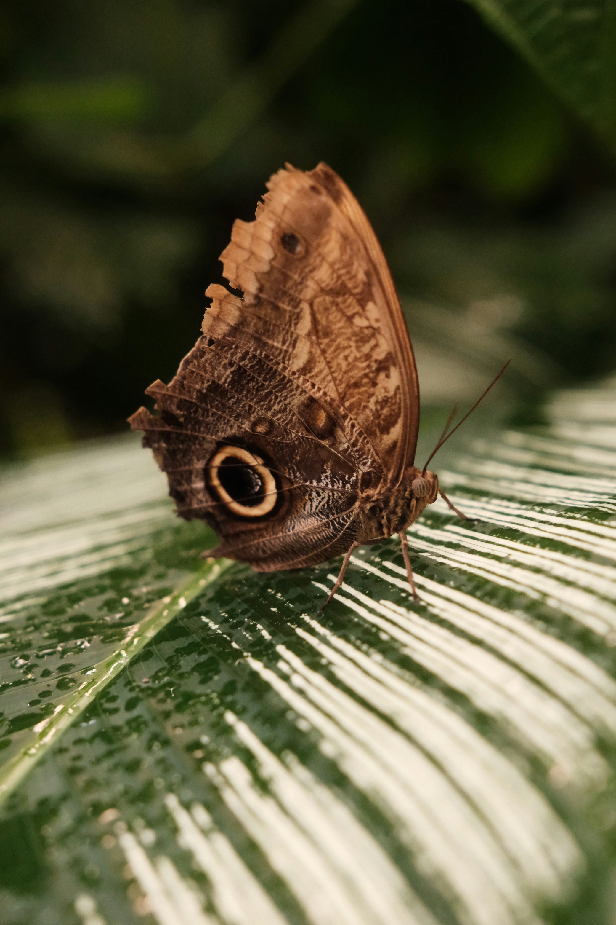 Photo by bymatthieum