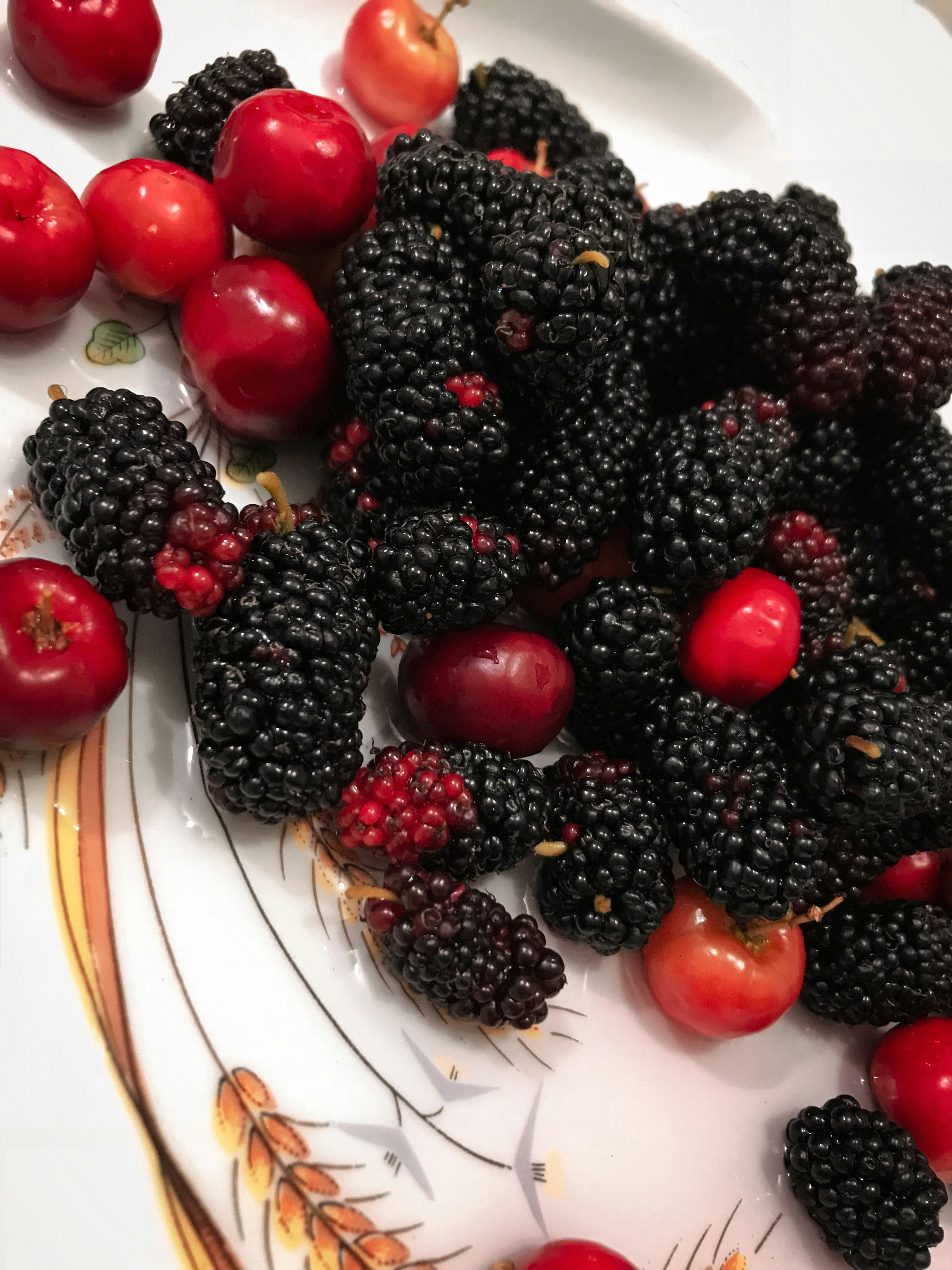 Photo by adrianaosti