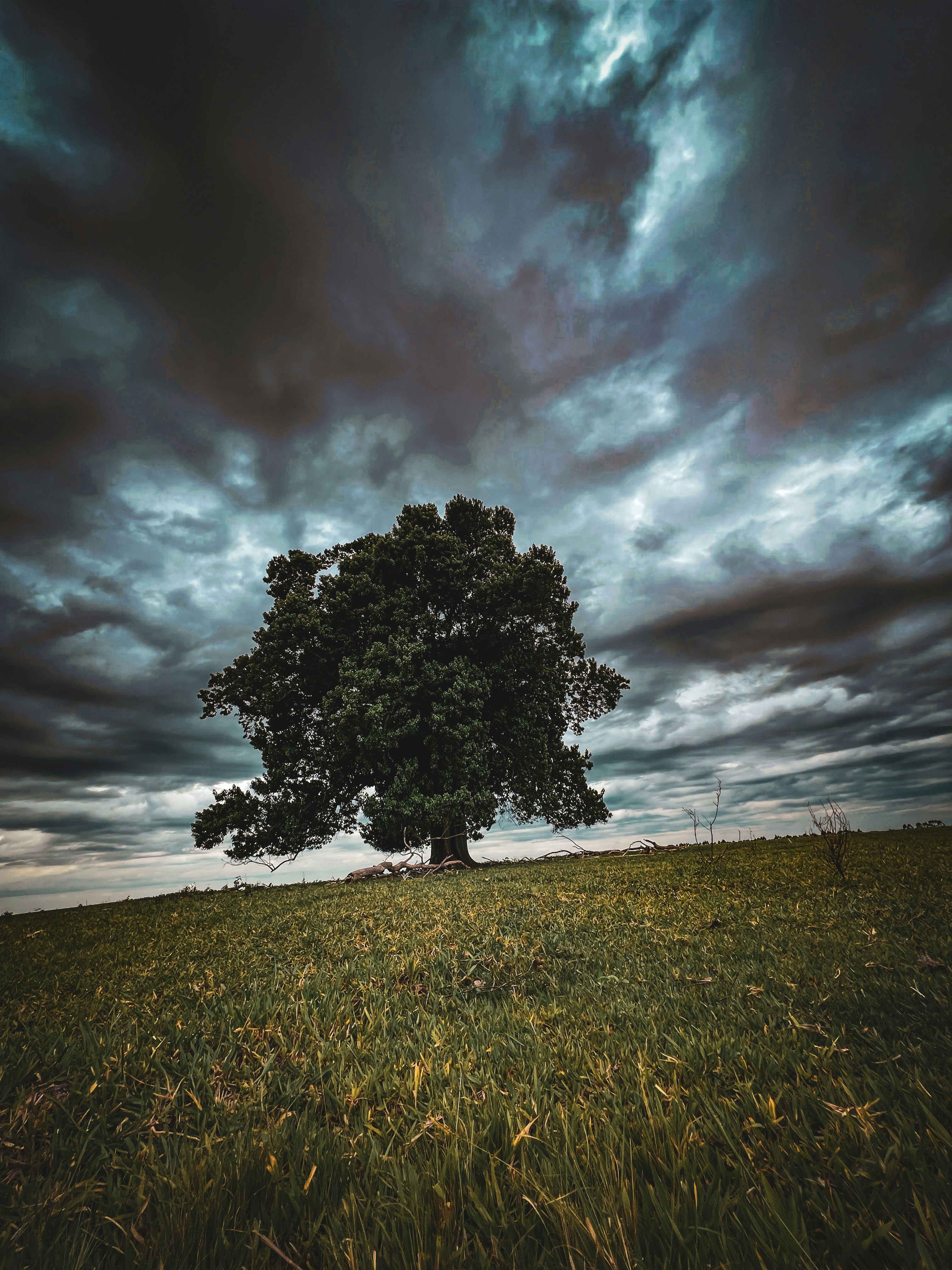 Photo by adrianaosti