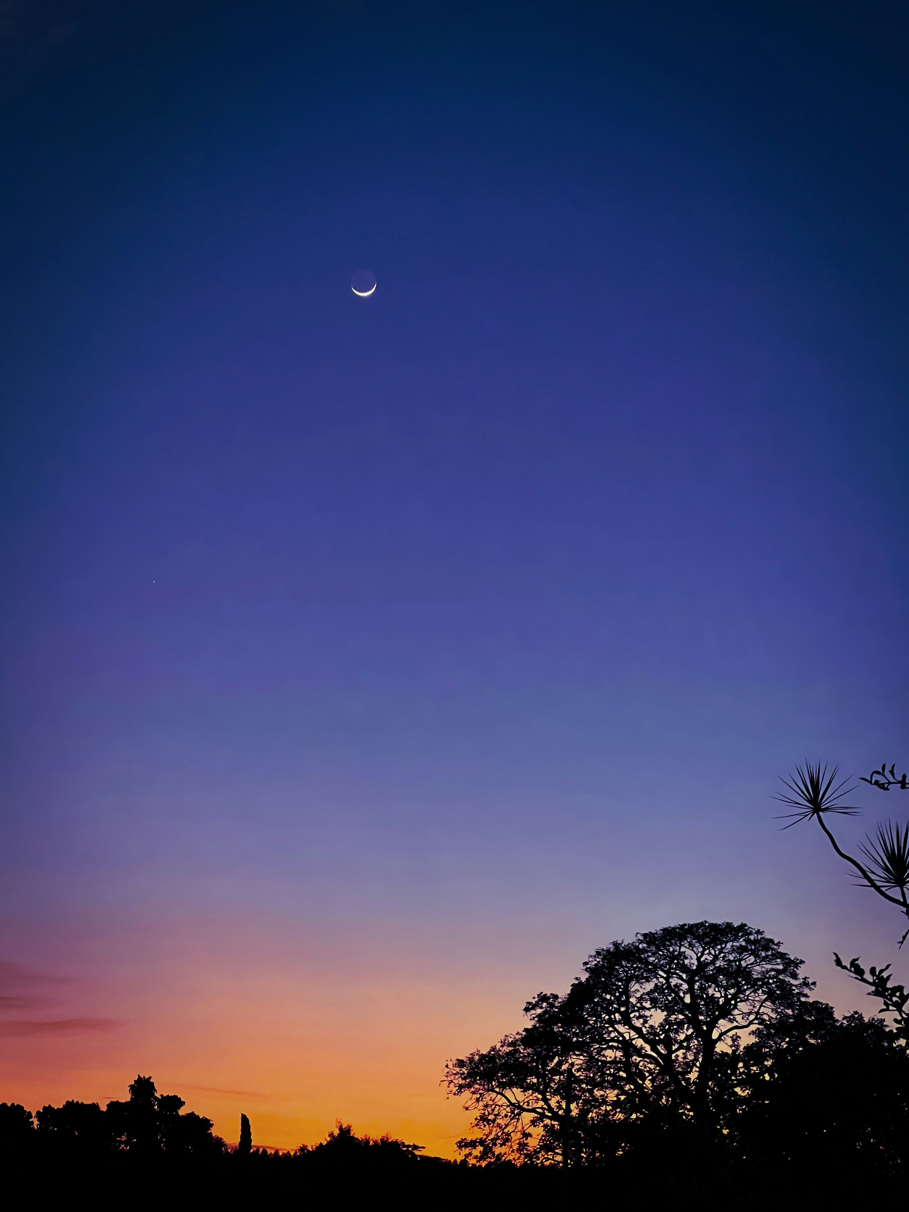 Photo by adrianaosti