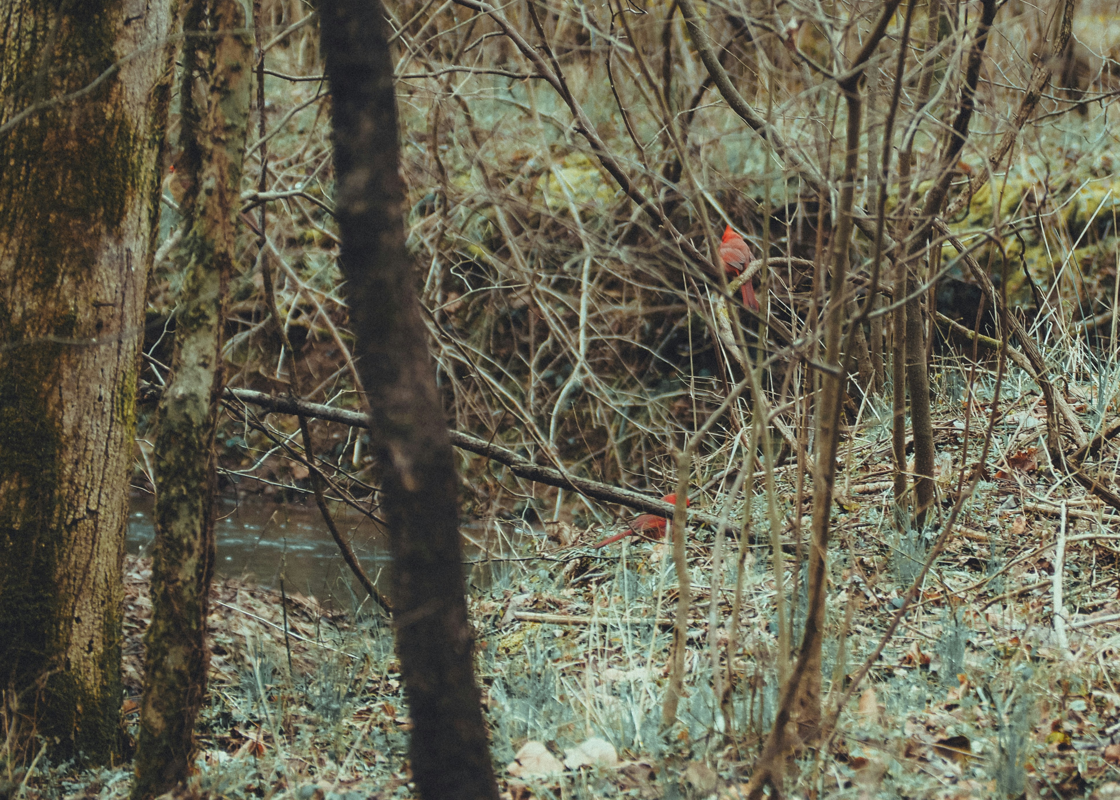 Photo by fieldworkframes