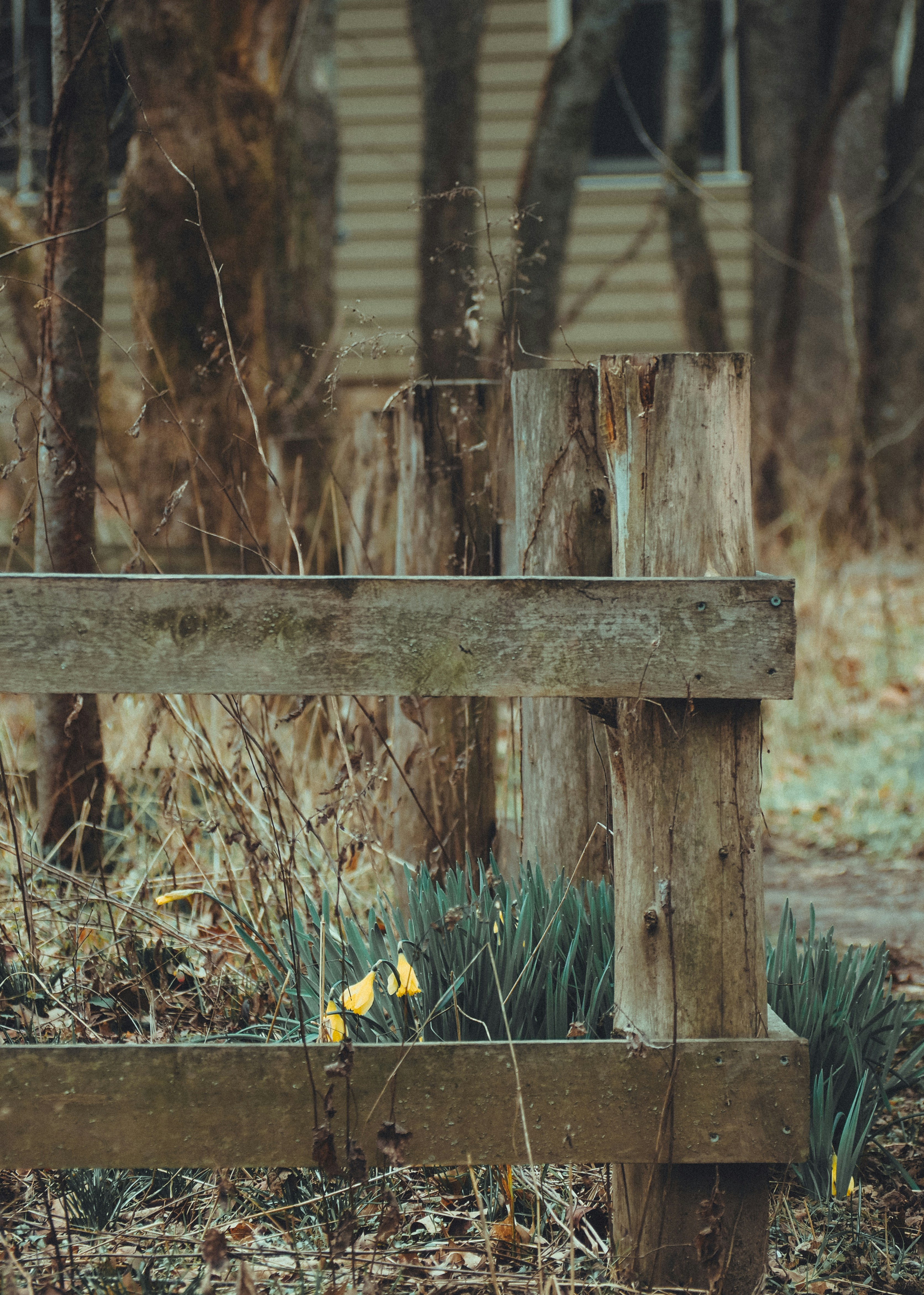 Photo by fieldworkframes