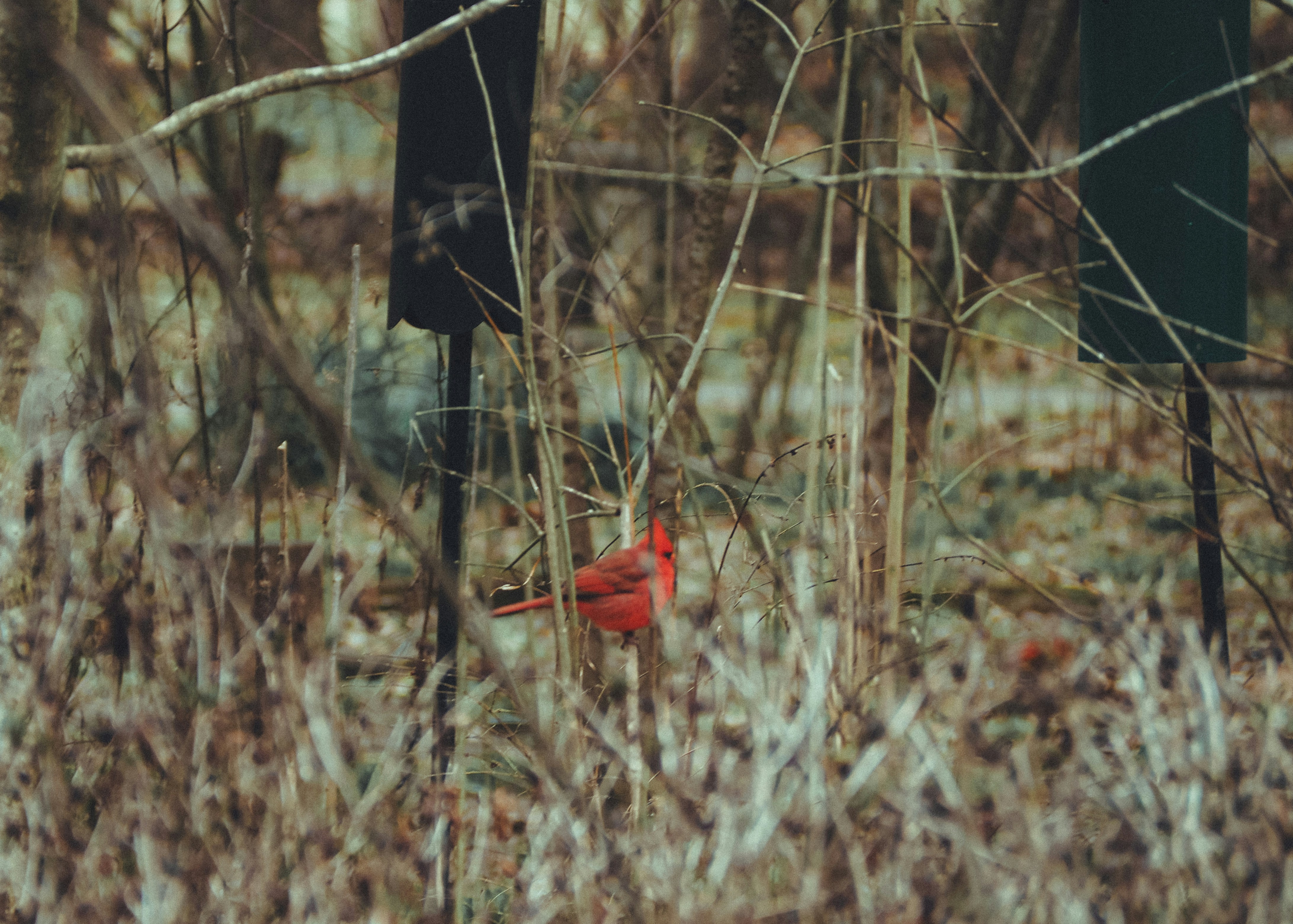 Photo by fieldworkframes