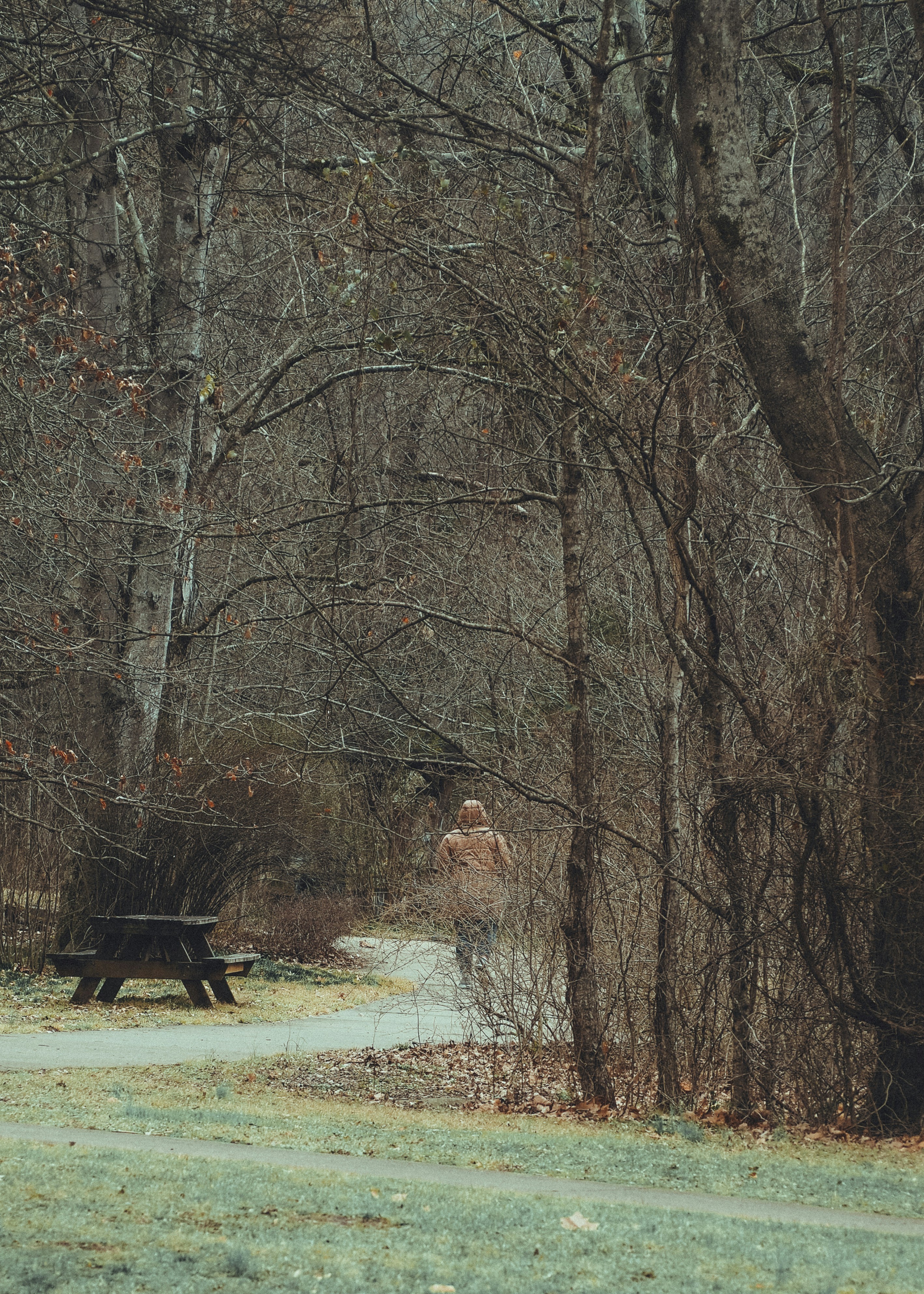 Photo by fieldworkframes