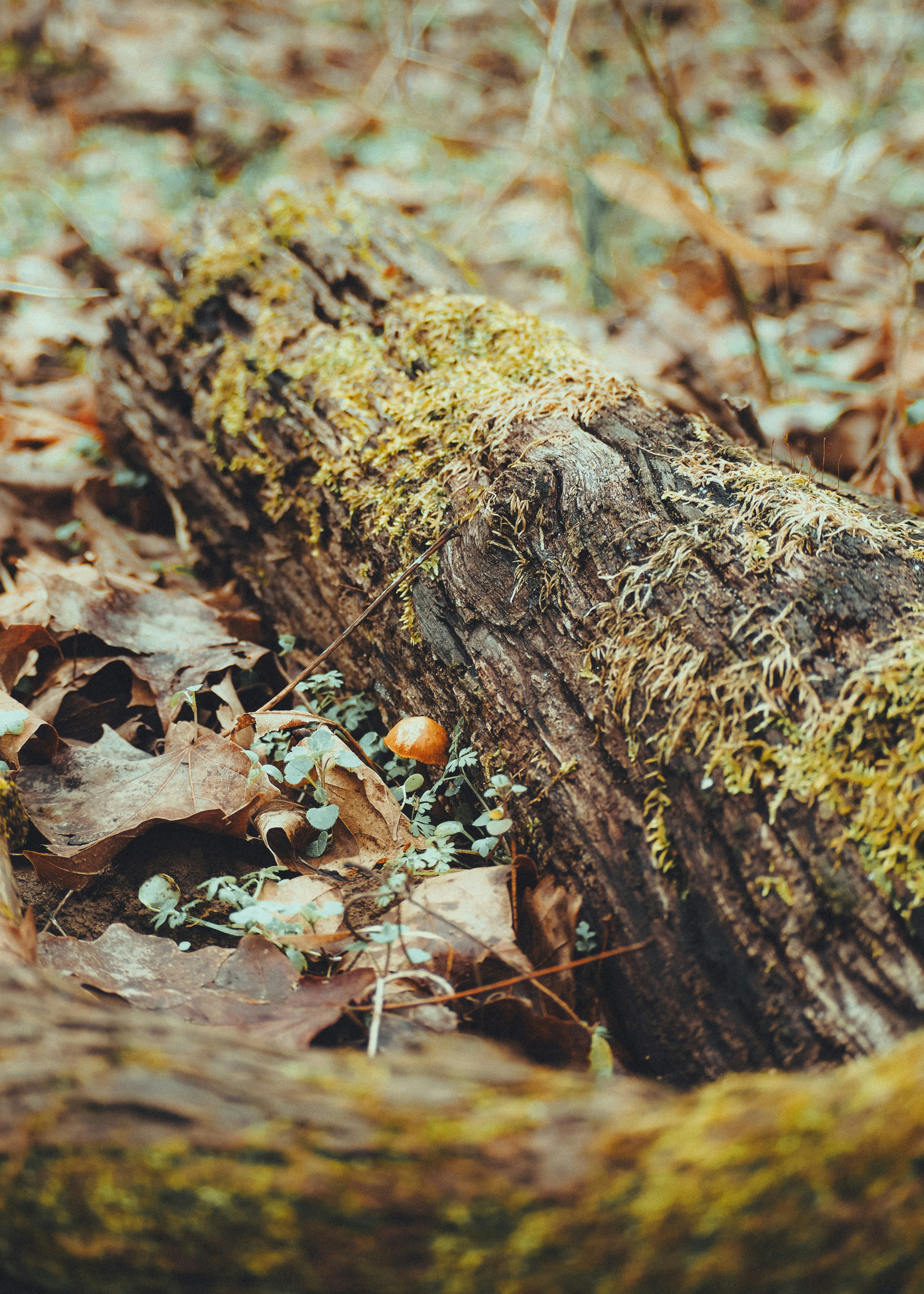 Photo by fieldworkframes