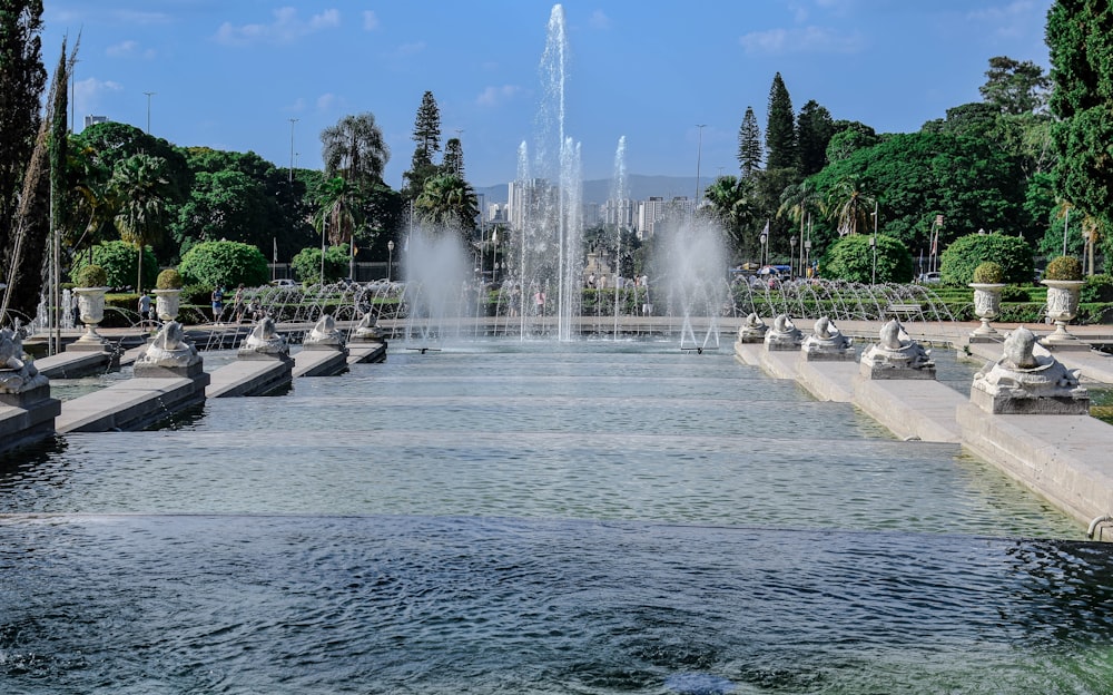 a water fountain in a park surrounded by trees