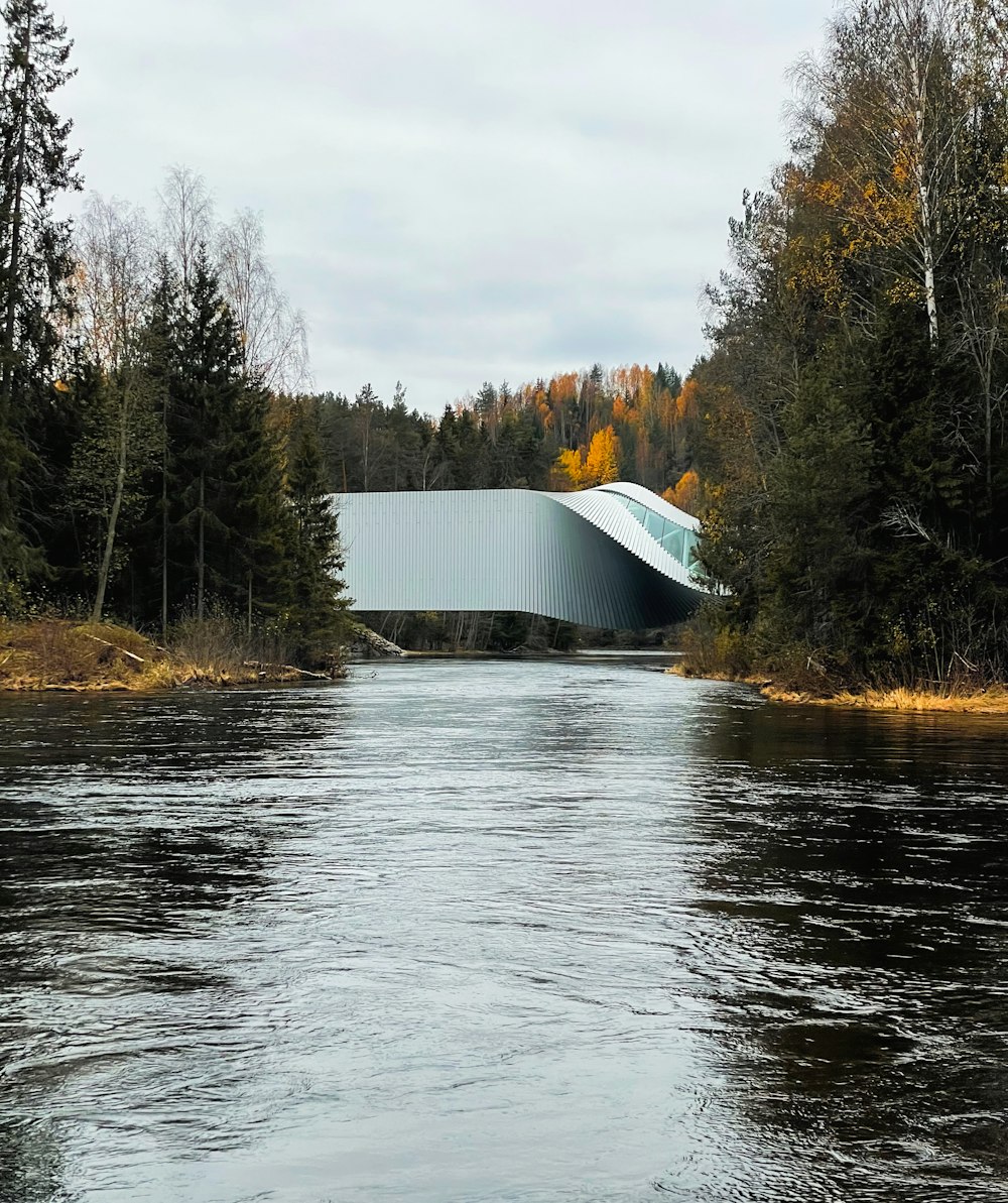 a large bridge over a river surrounded by trees