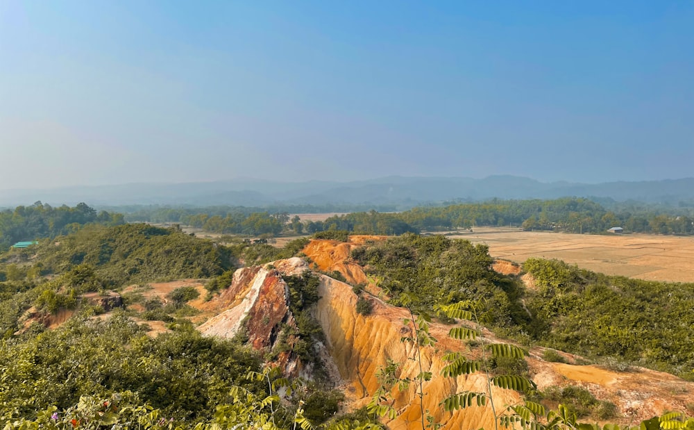 a scenic view of a valley with trees and mountains in the background