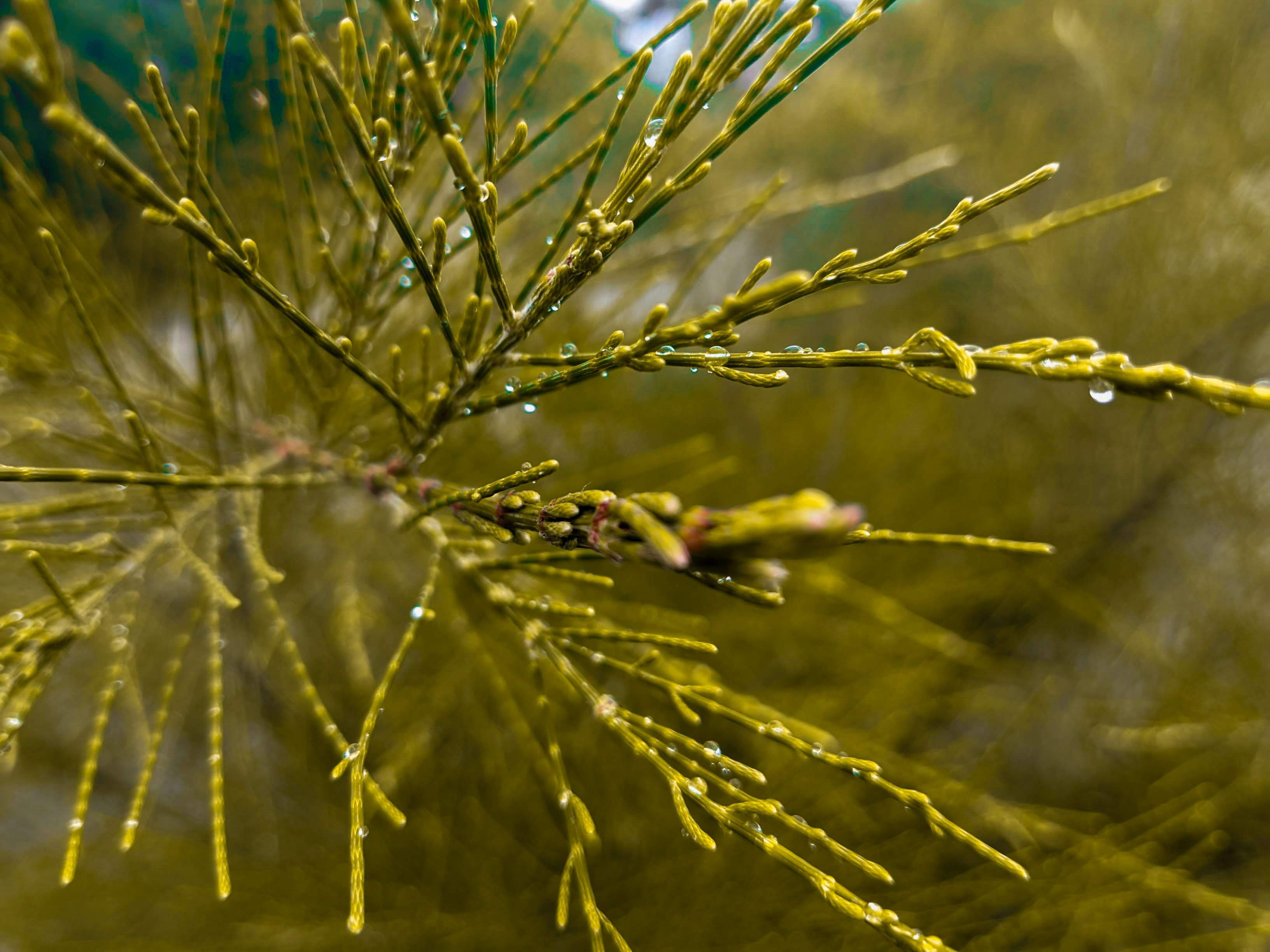 Photo by ashrafulisla483