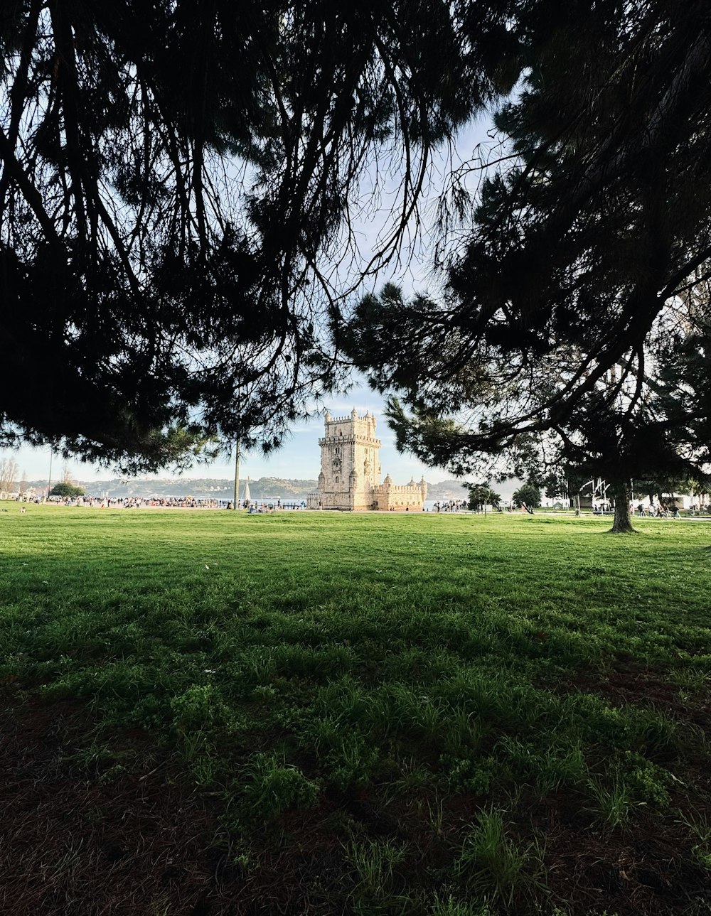 a large grassy field with a clock tower in the background