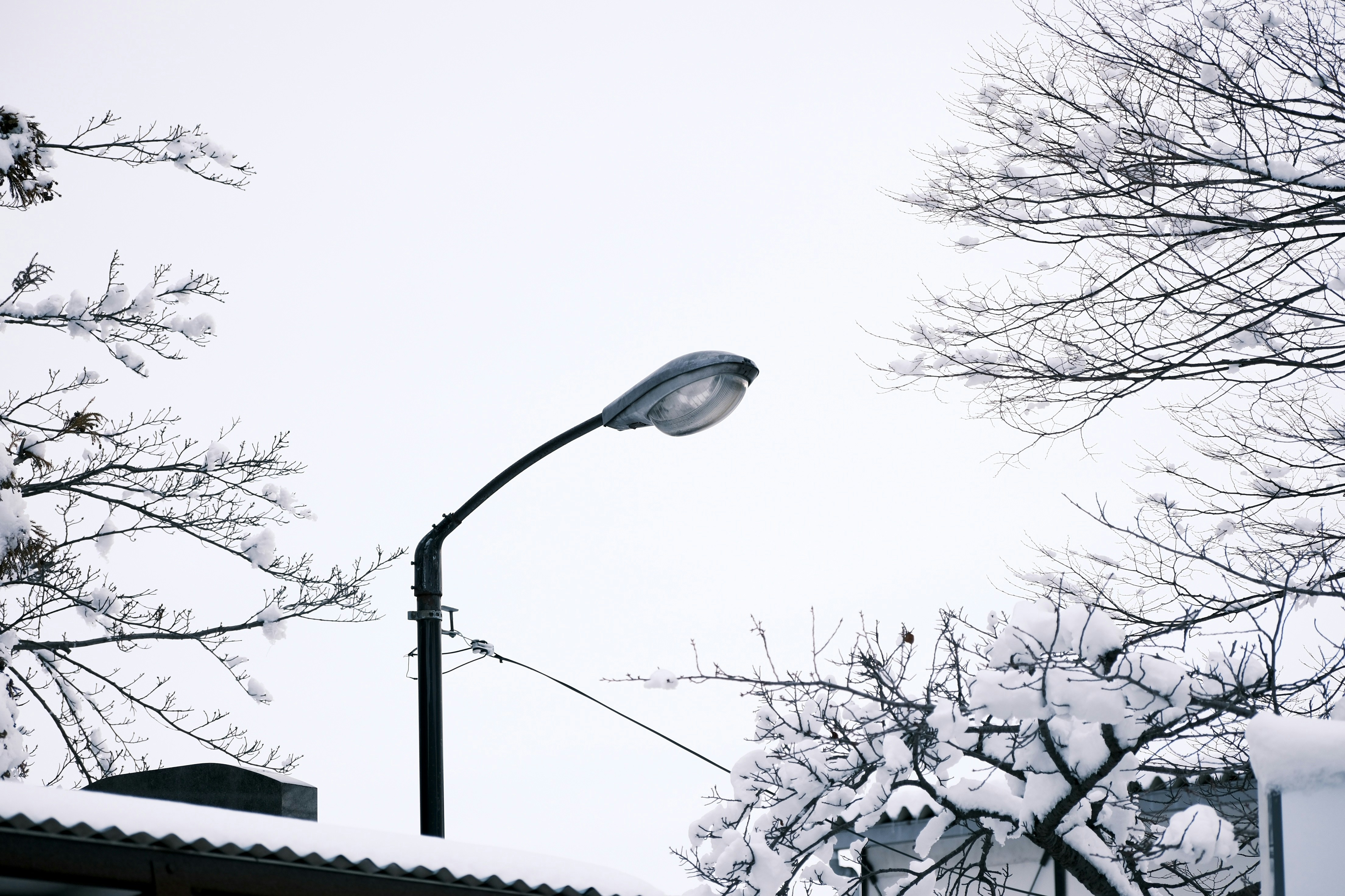 Photo by seiya_maeda