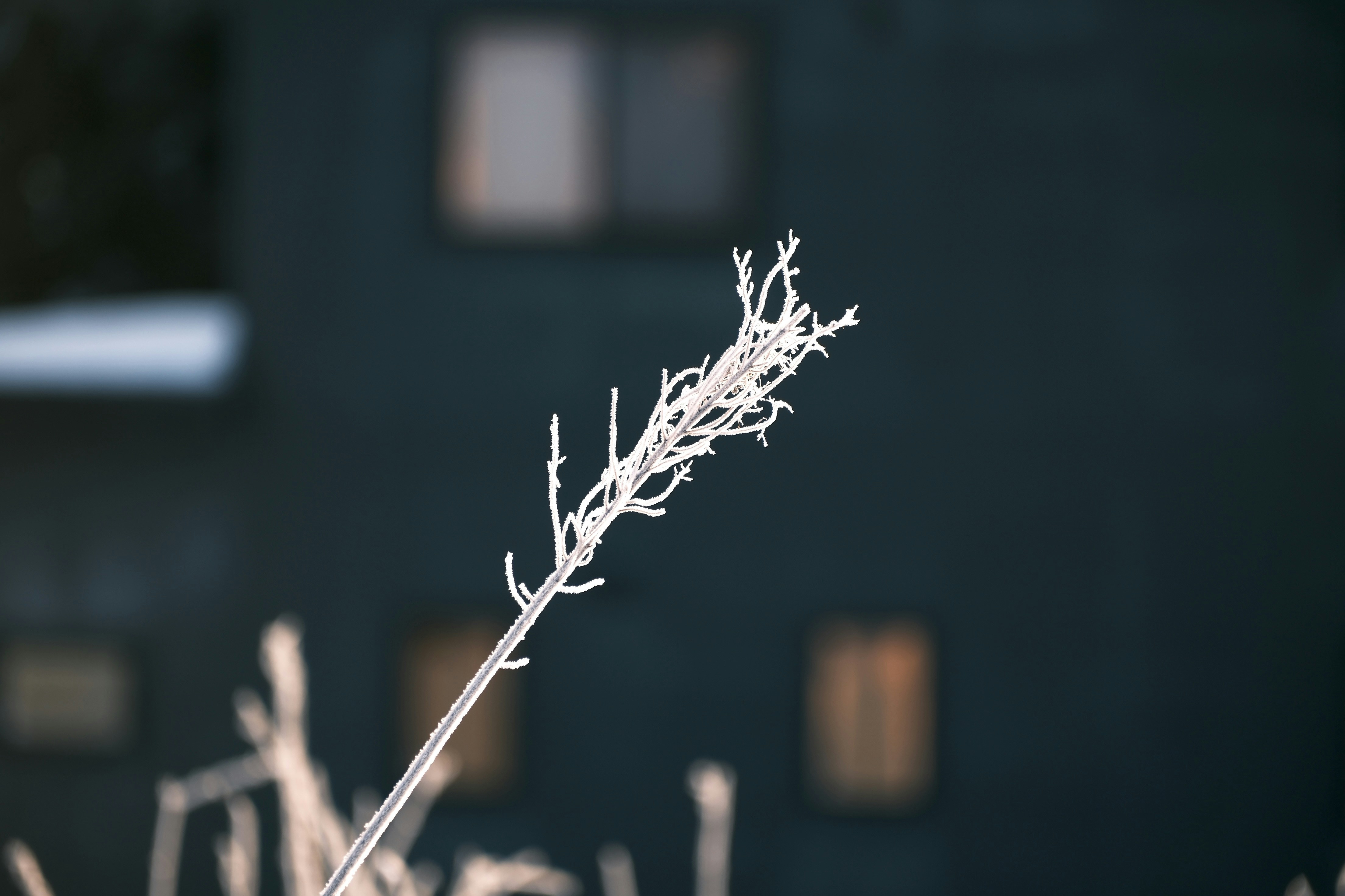 Photo by seiya_maeda