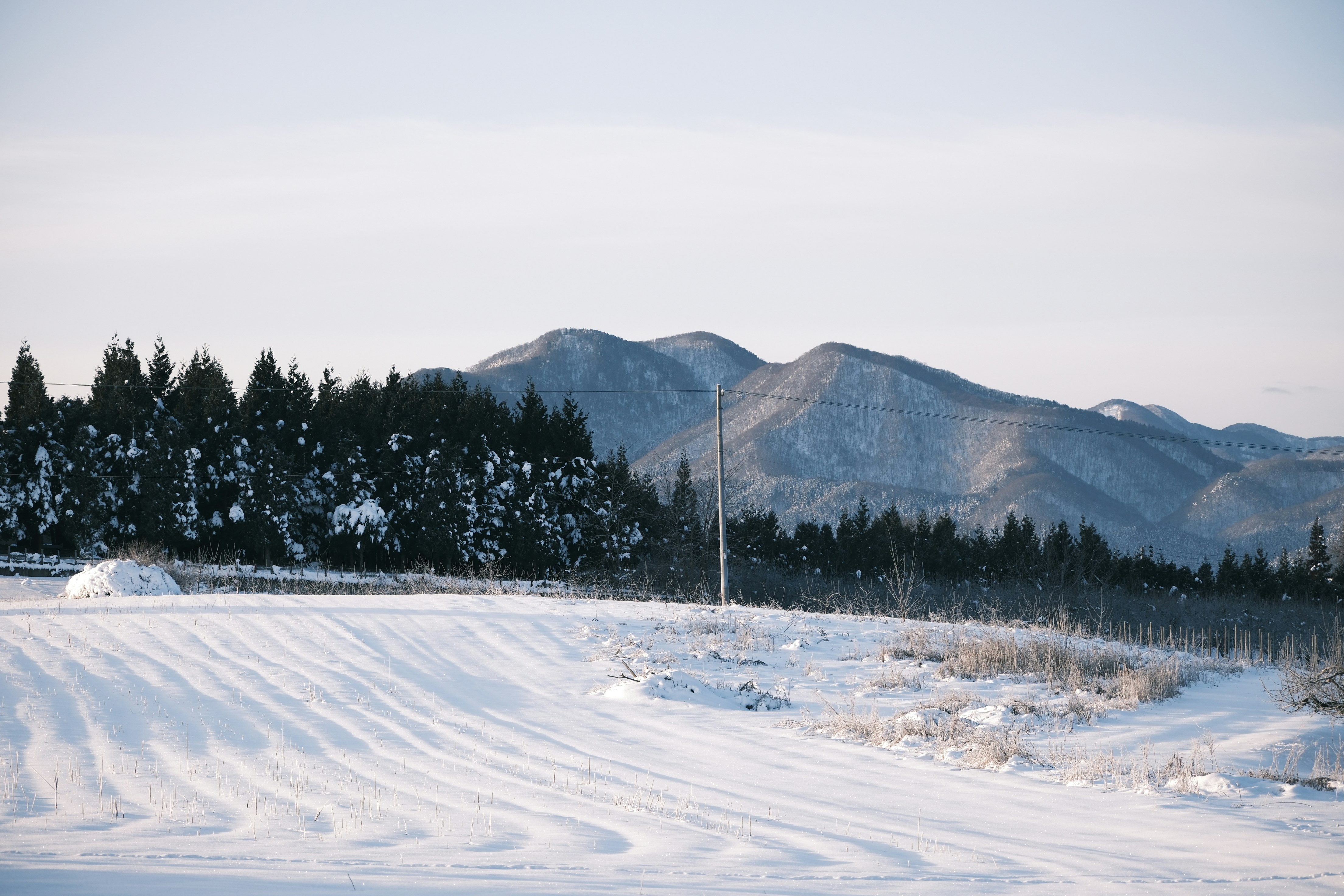 Photo by seiya_maeda