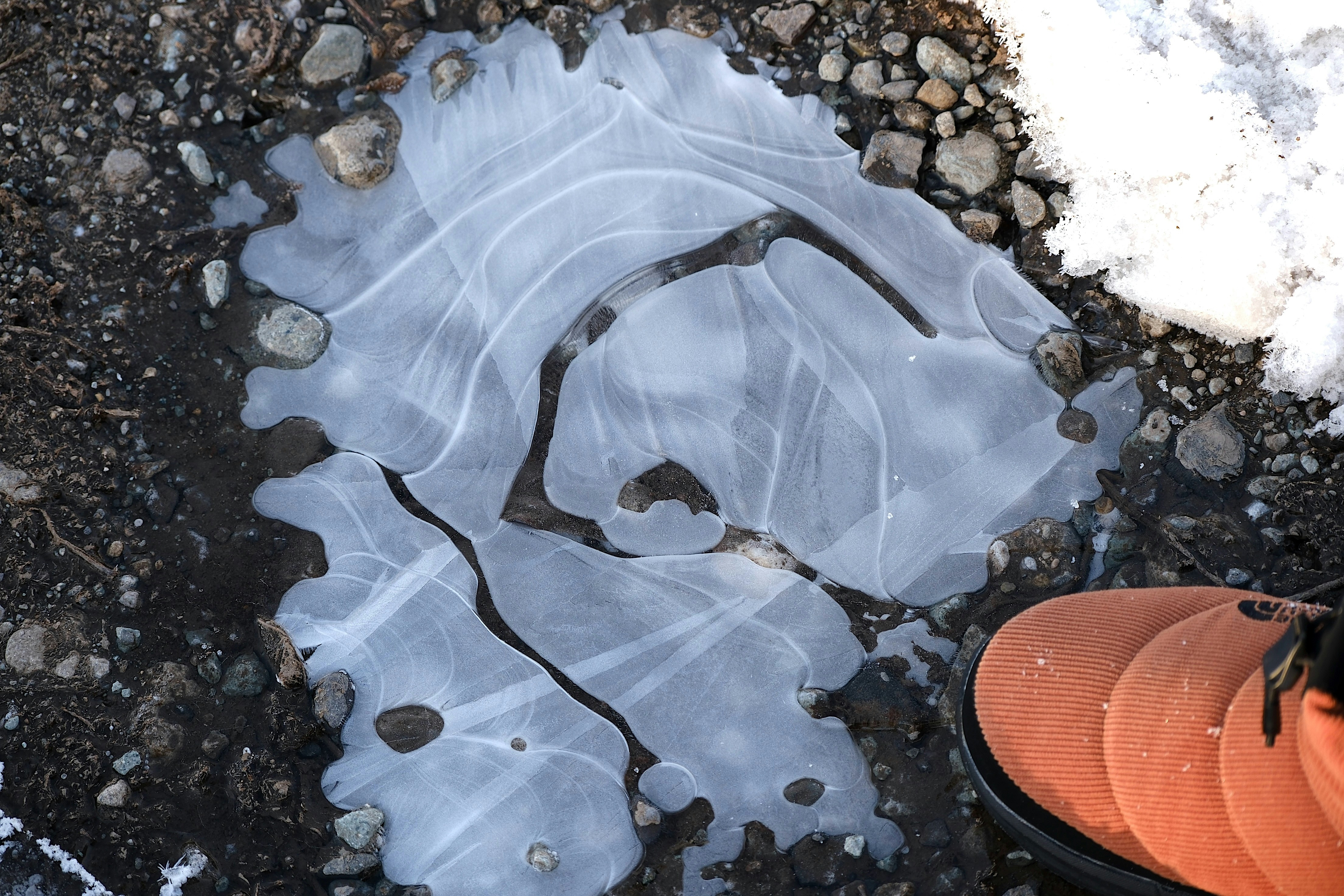 a person standing next to a puddle of water