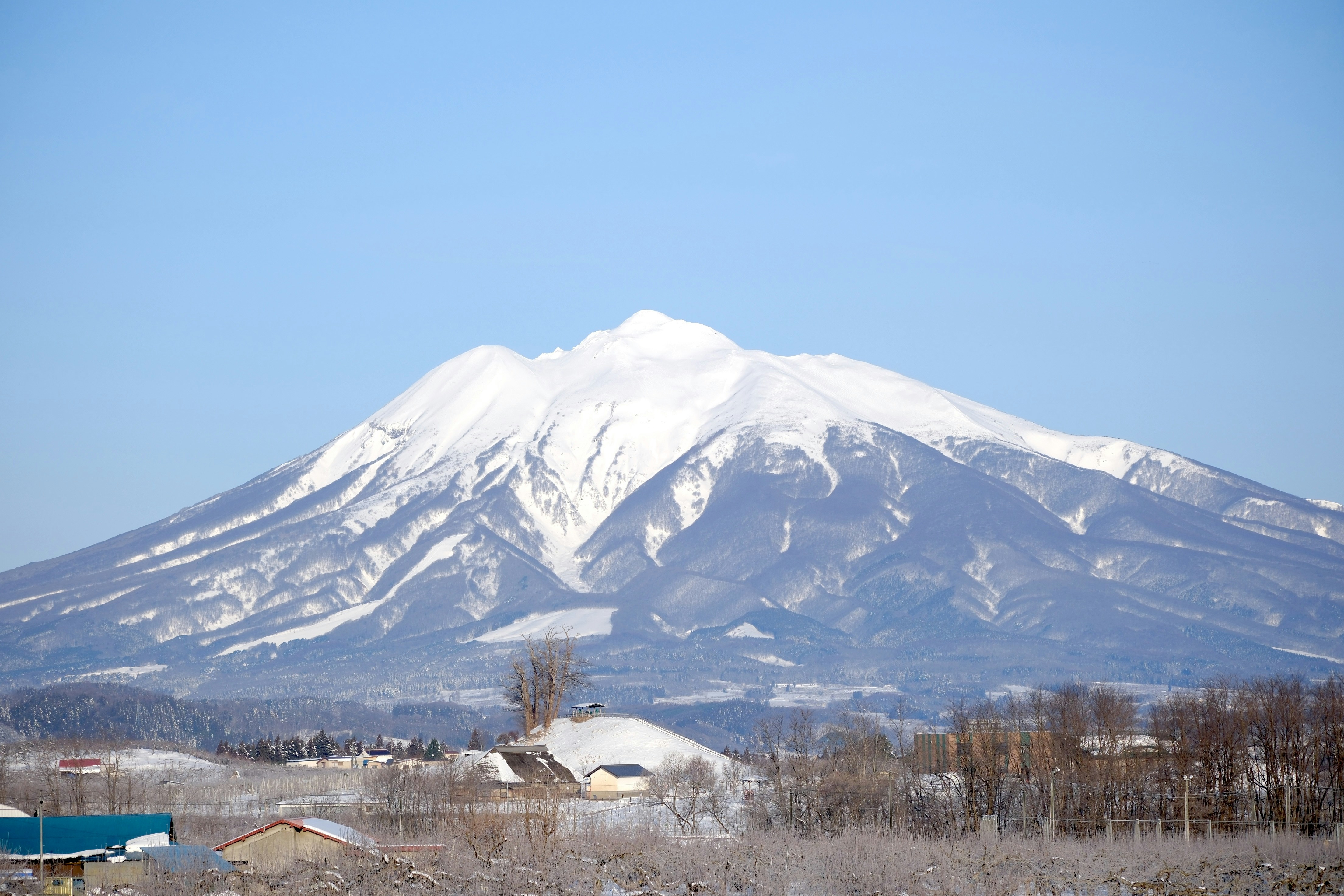 Photo by seiya_maeda