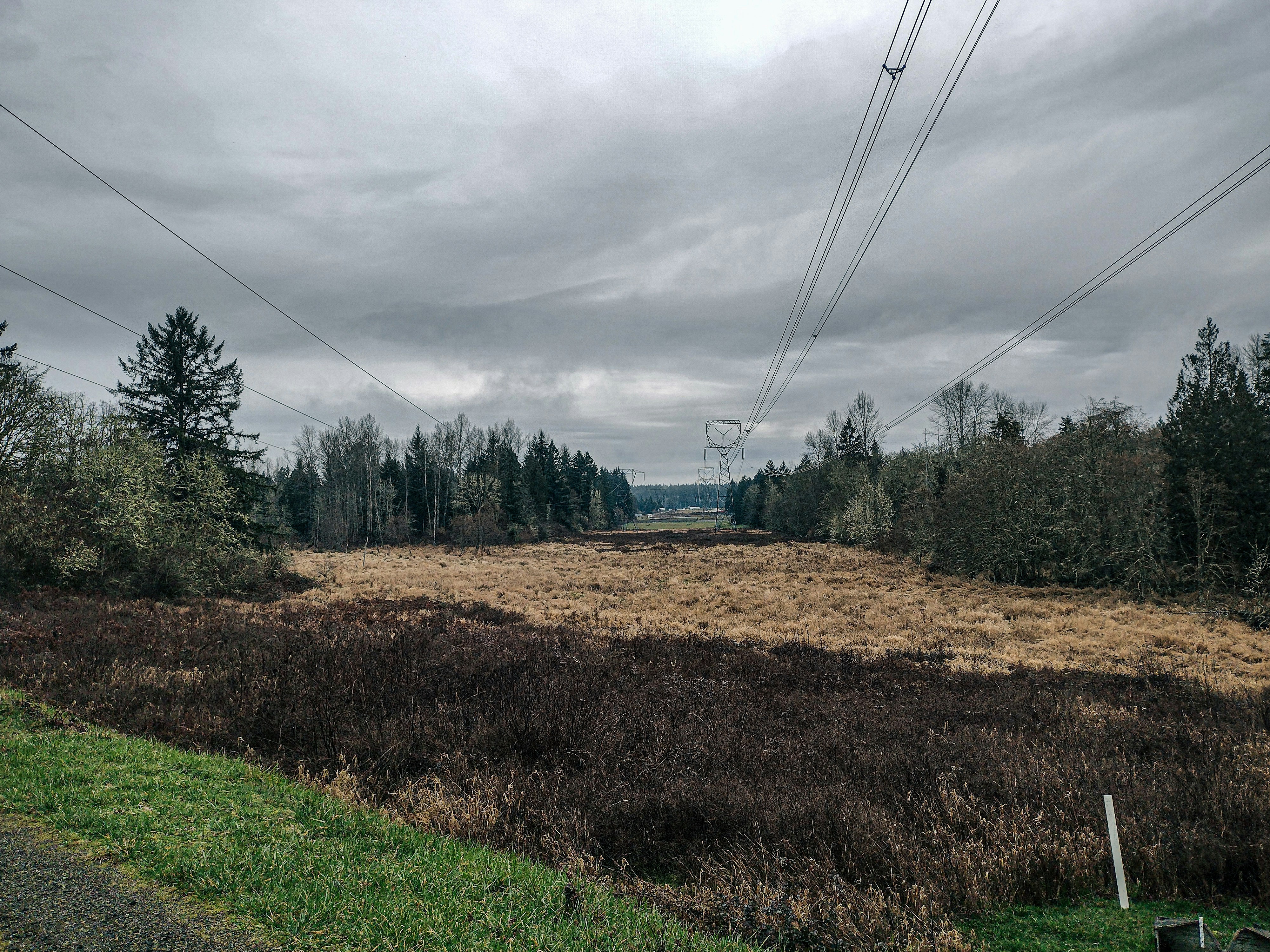 Photo by prphotography262