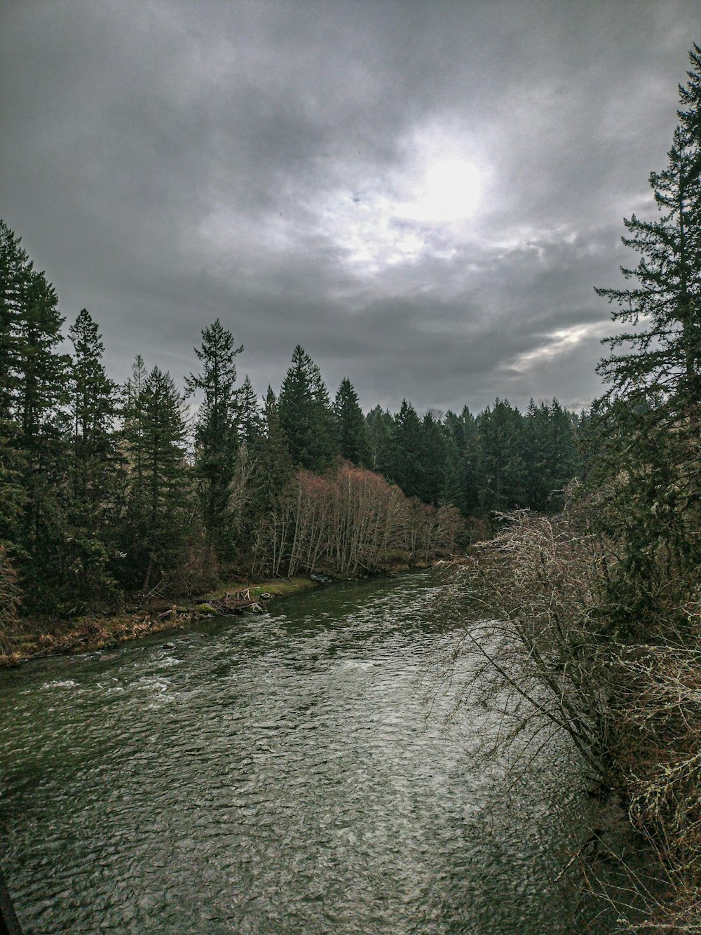 a river running through a forest under a cloudy sky