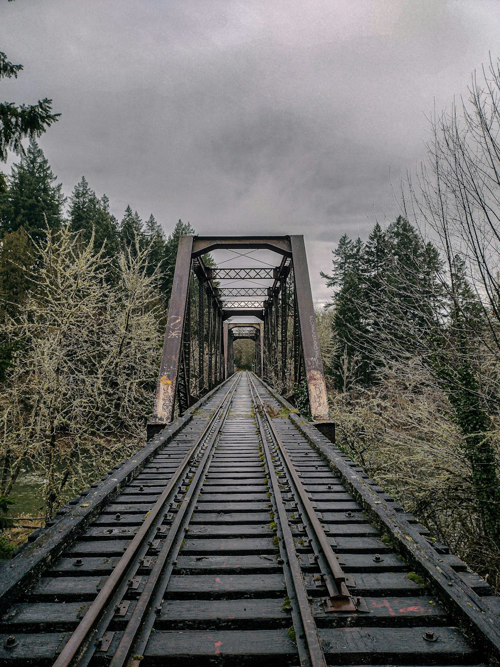 a train track going over a bridge in the woods