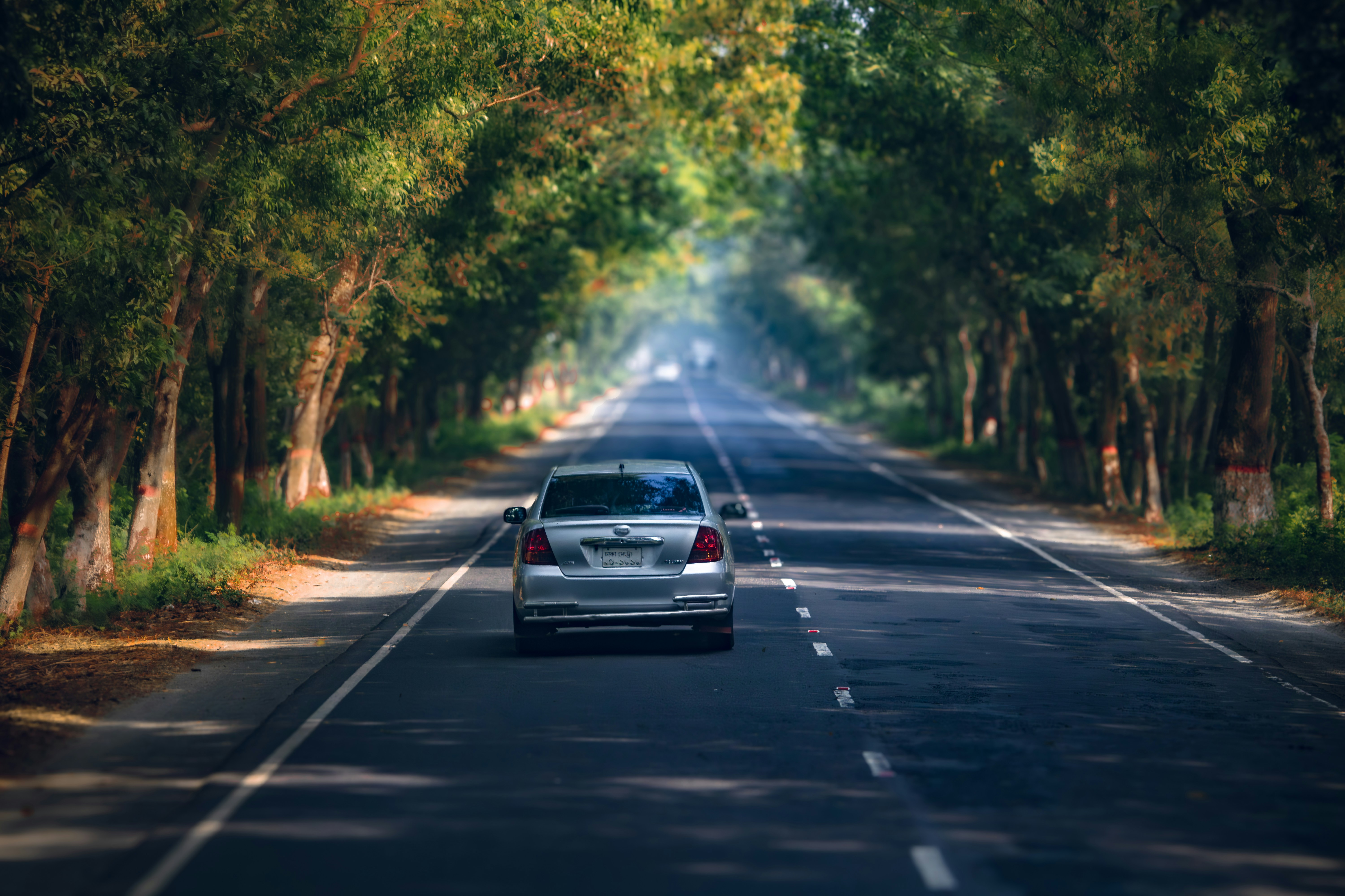 Photo by tanvirahmed2232