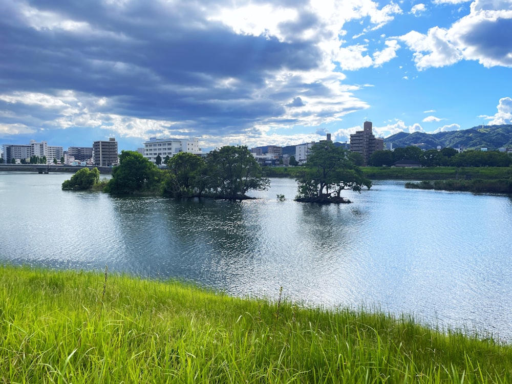 a body of water surrounded by lush green grass