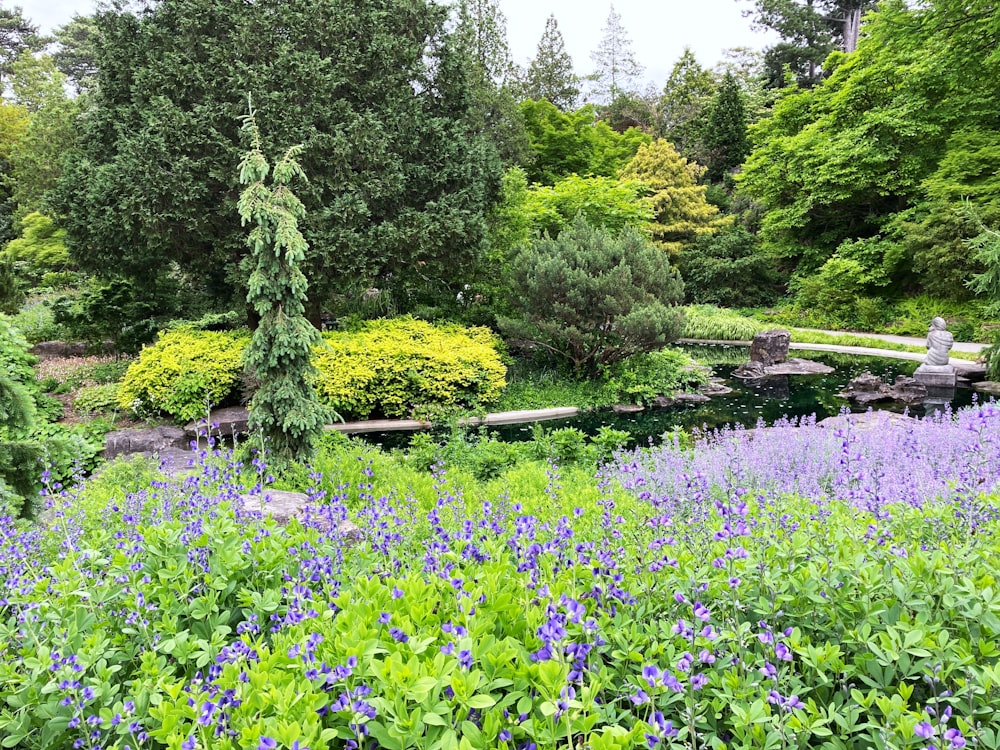 Un jardín lleno de muchas flores moradas