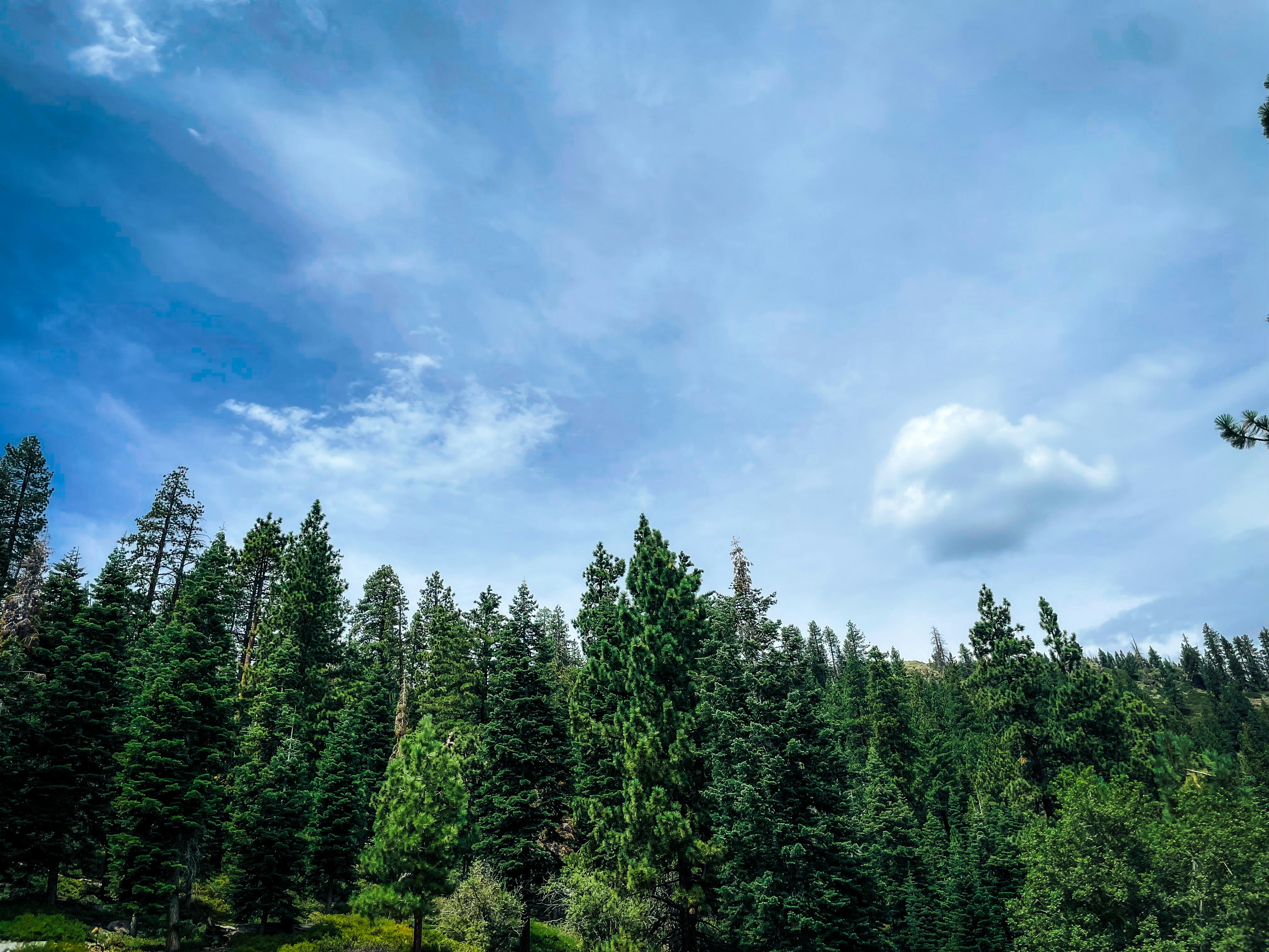 Photo by lg_photography