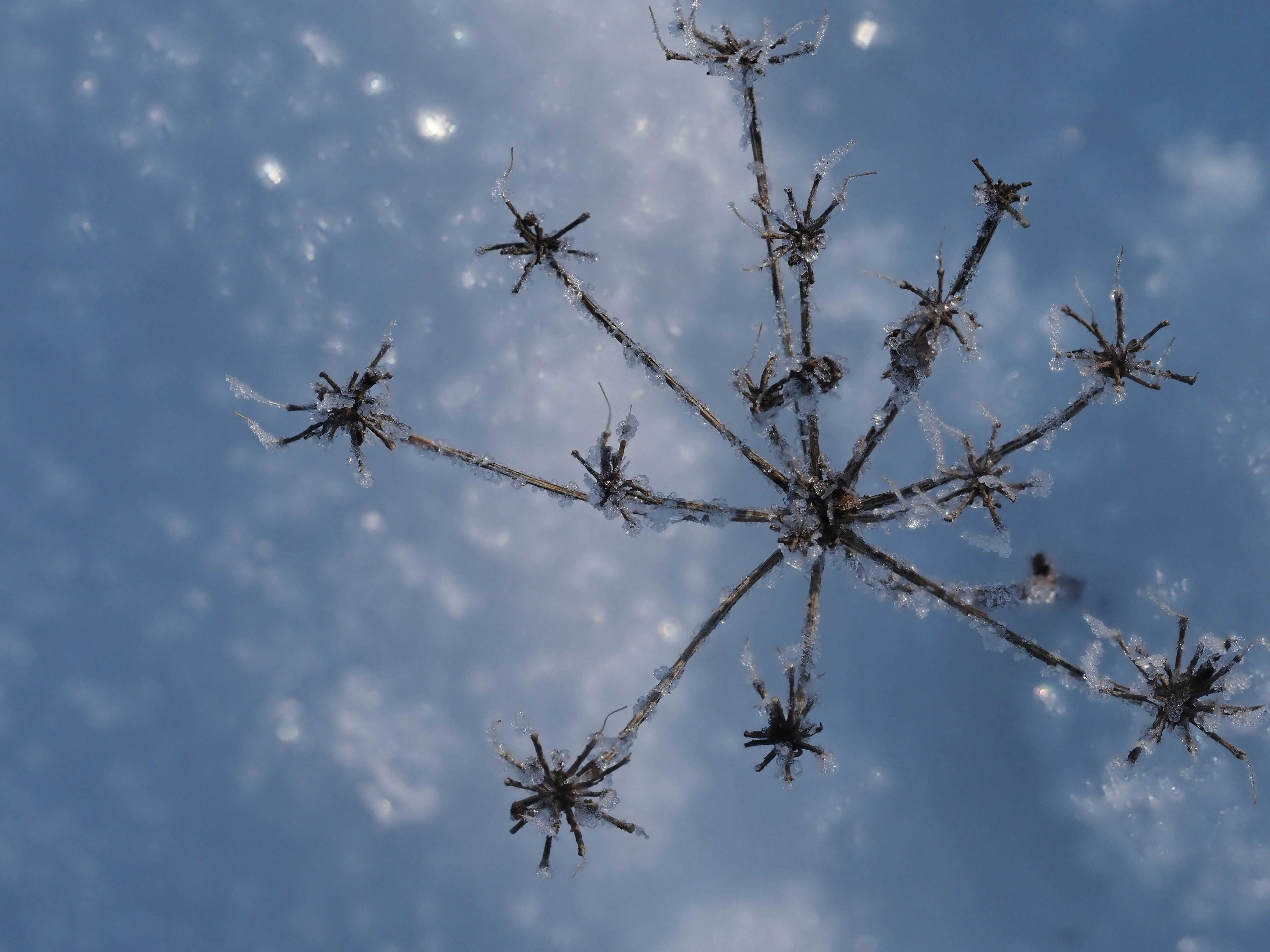 a close up of a snowflake in the sky