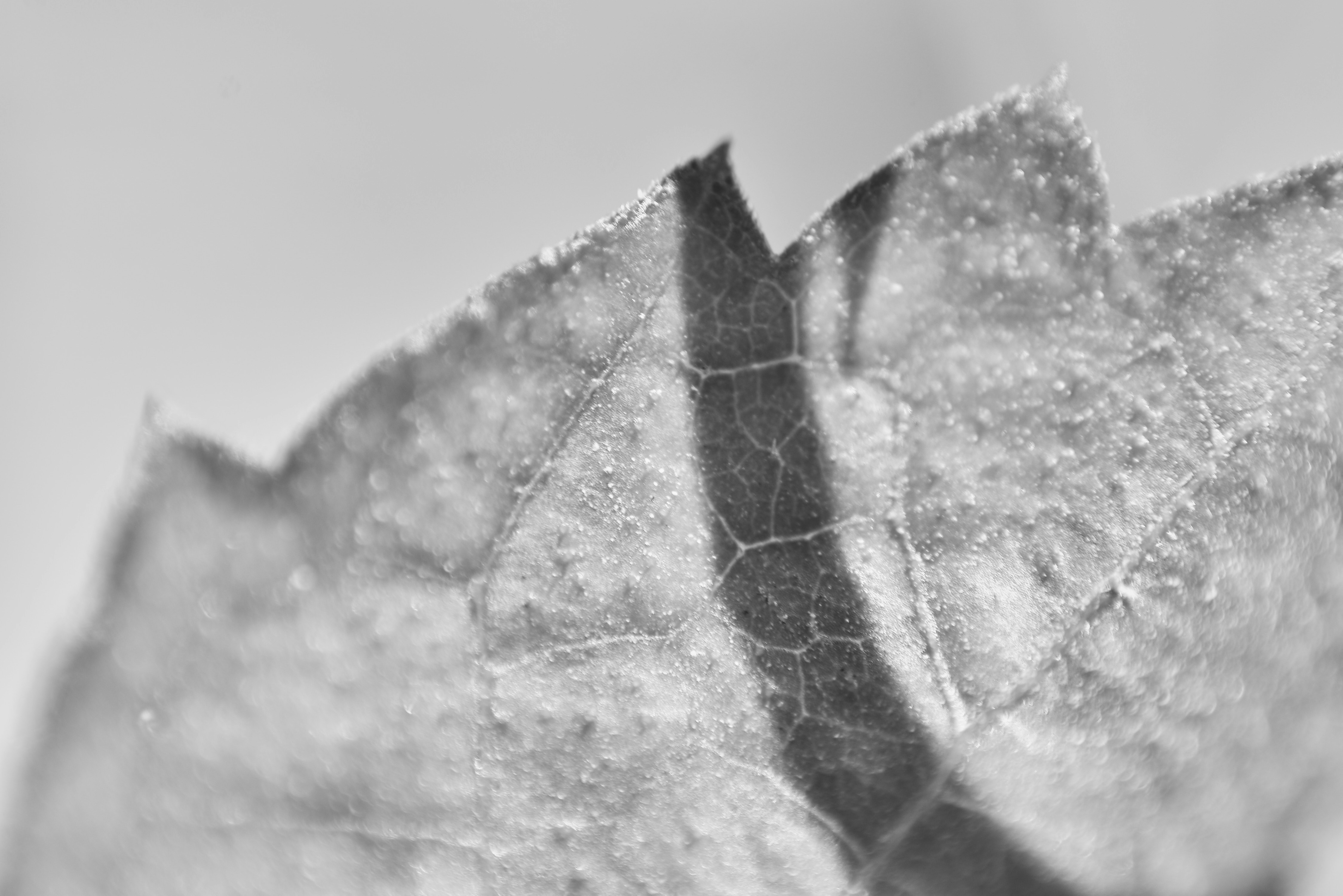 Photo by estebnravelli