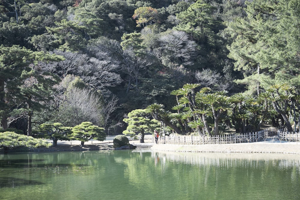 a body of water surrounded by lots of trees