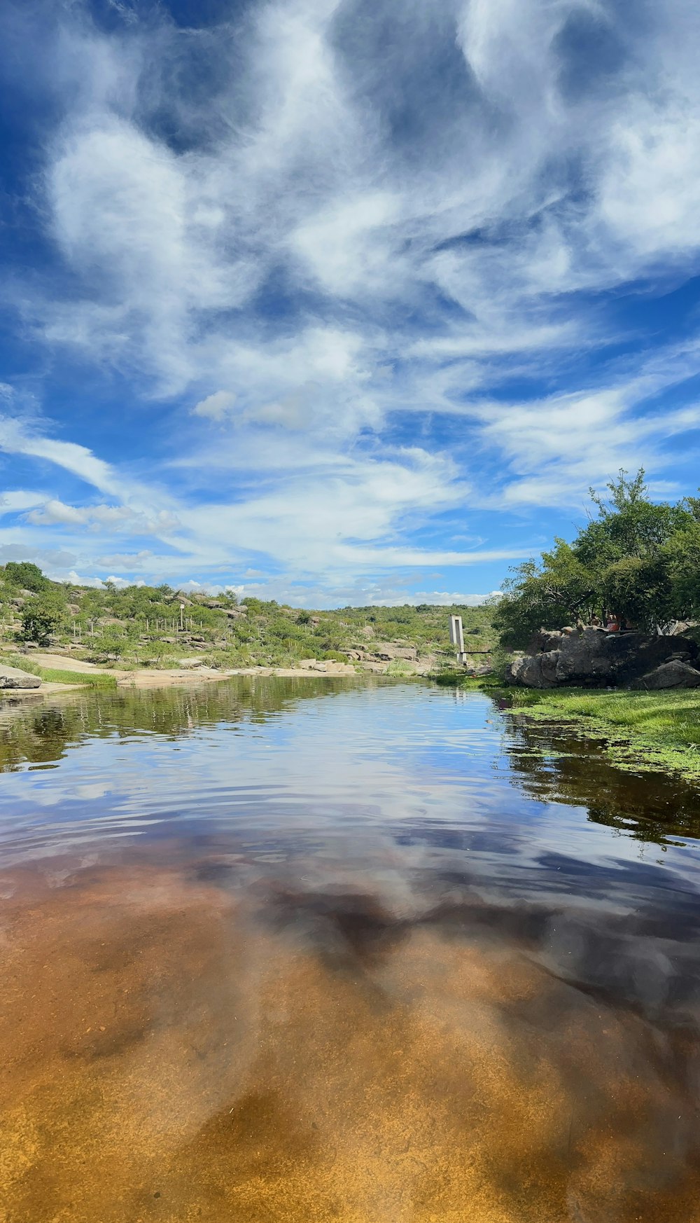 a body of water surrounded by a lush green forest