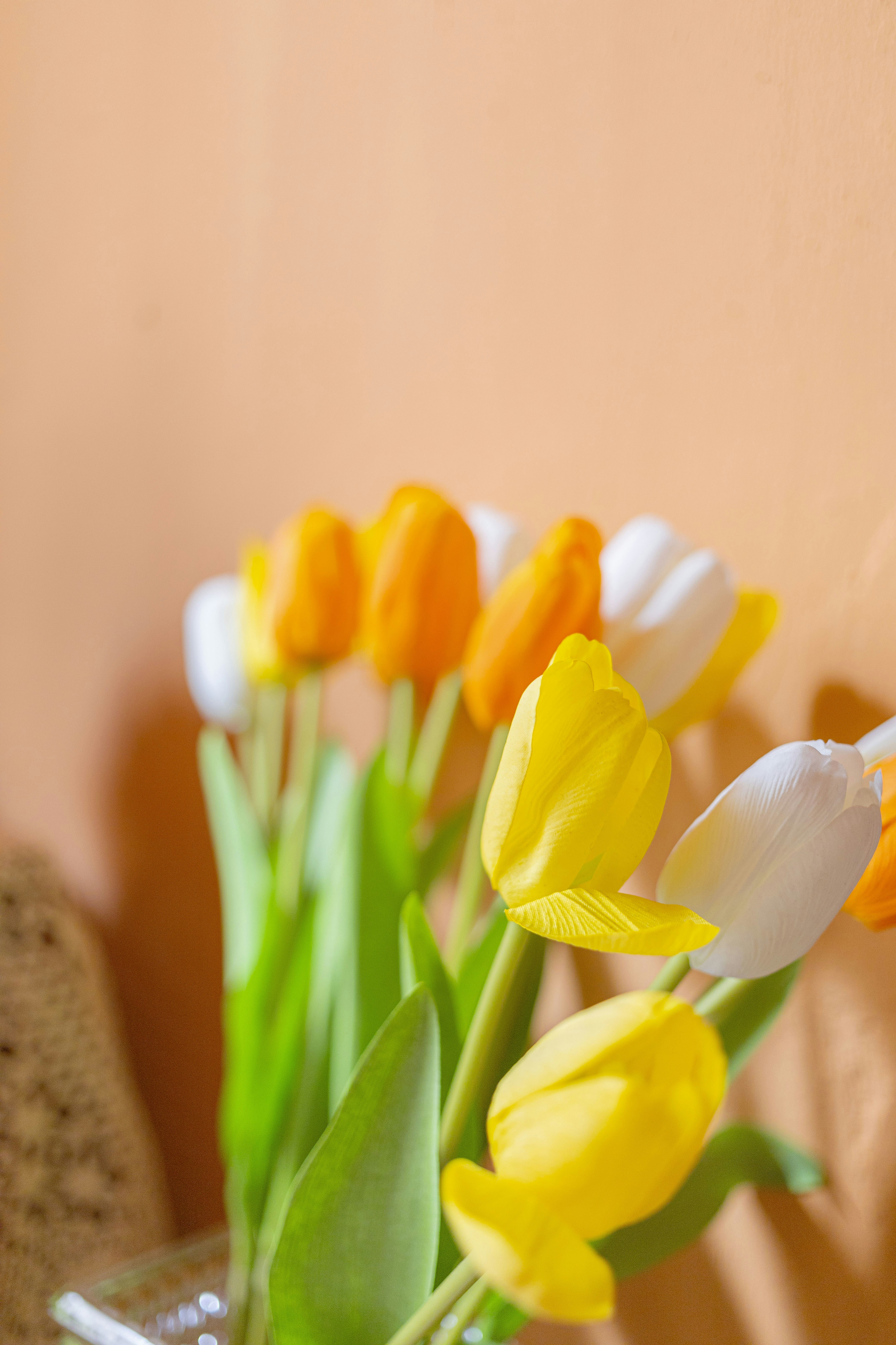 Photo by yokonoito0512