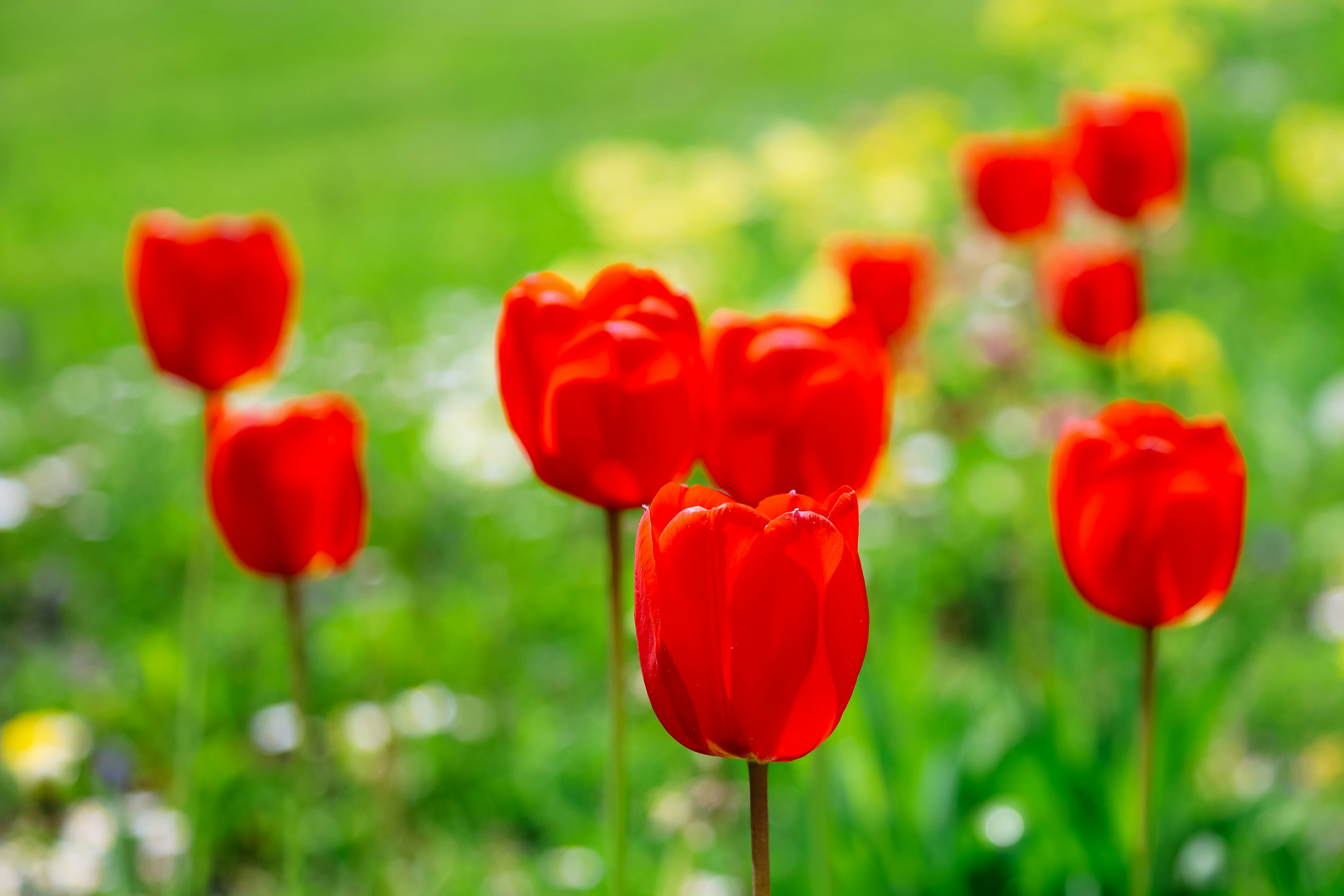 Photo by magictravel