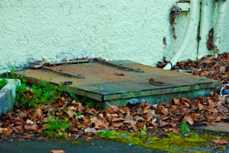 Exterior hatch surrounded by leaves