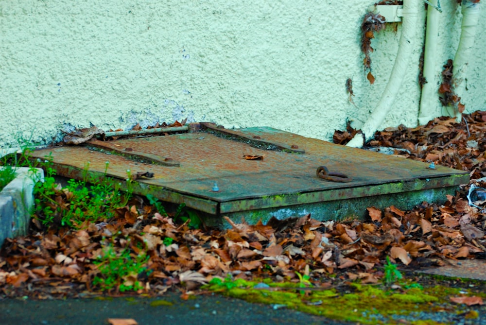 a rusted metal box sitting on top of a pile of leaves