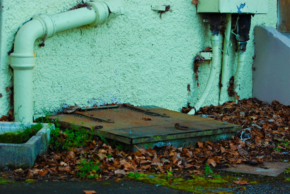 a fire hydrant sitting next to a green building