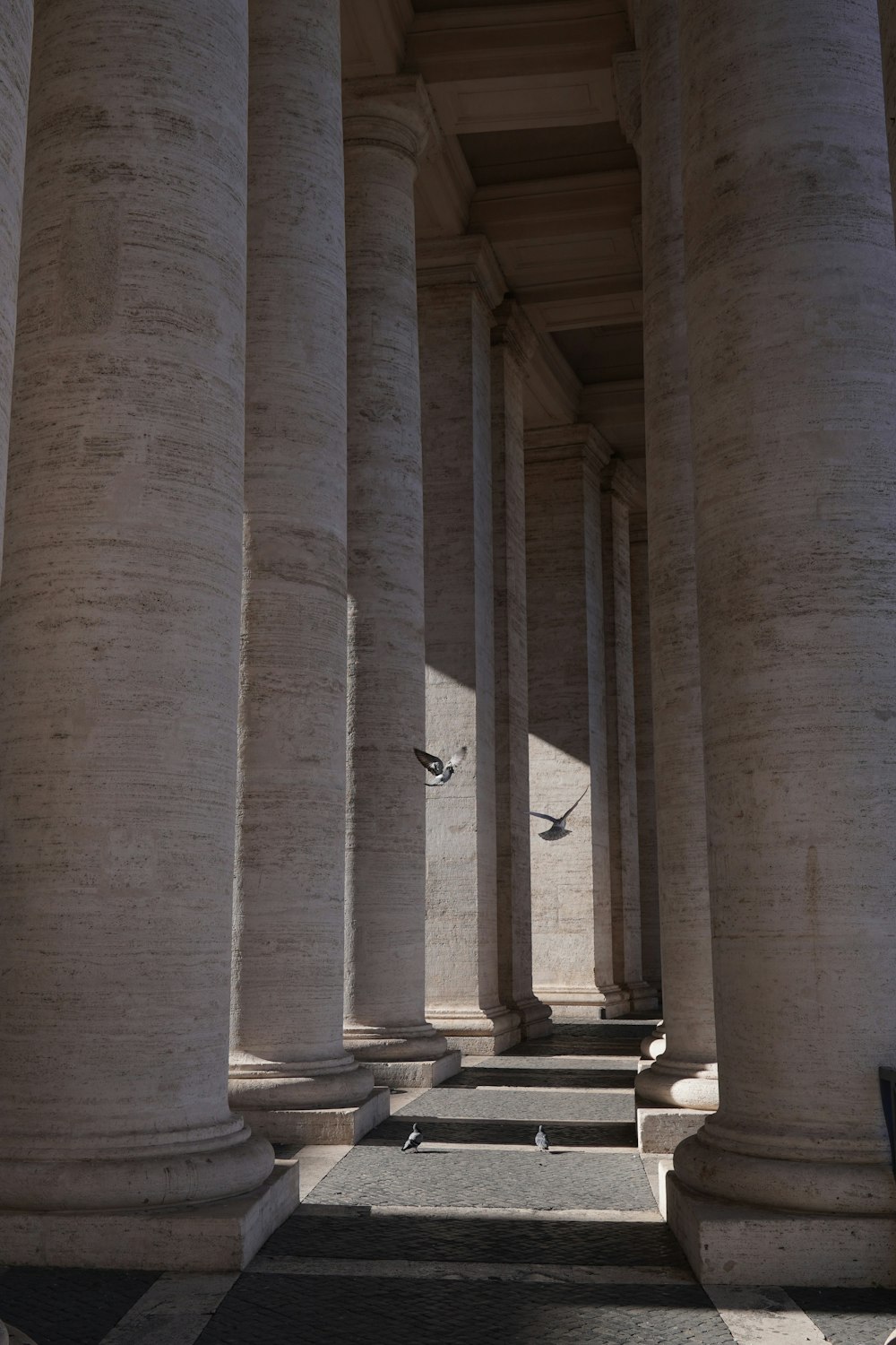 a row of white pillars with a bird flying between them