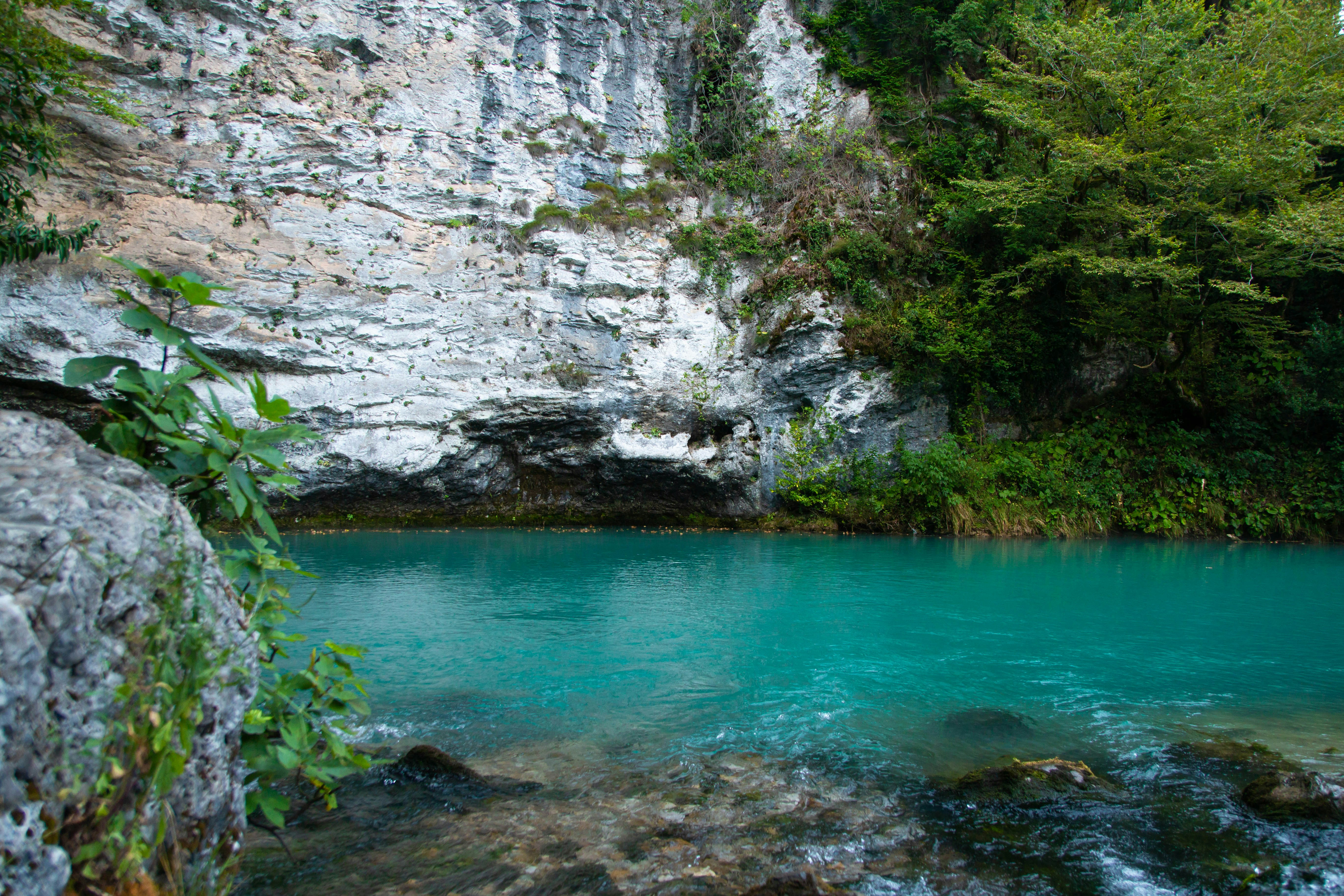 водоём, окружённый деревьями и скалами