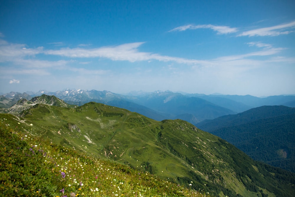 Una vista de una cadena montañosa con flores silvestres en primer plano