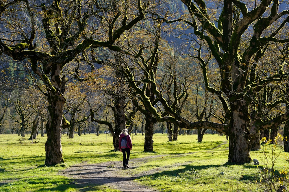 a person walking down a path in the woods