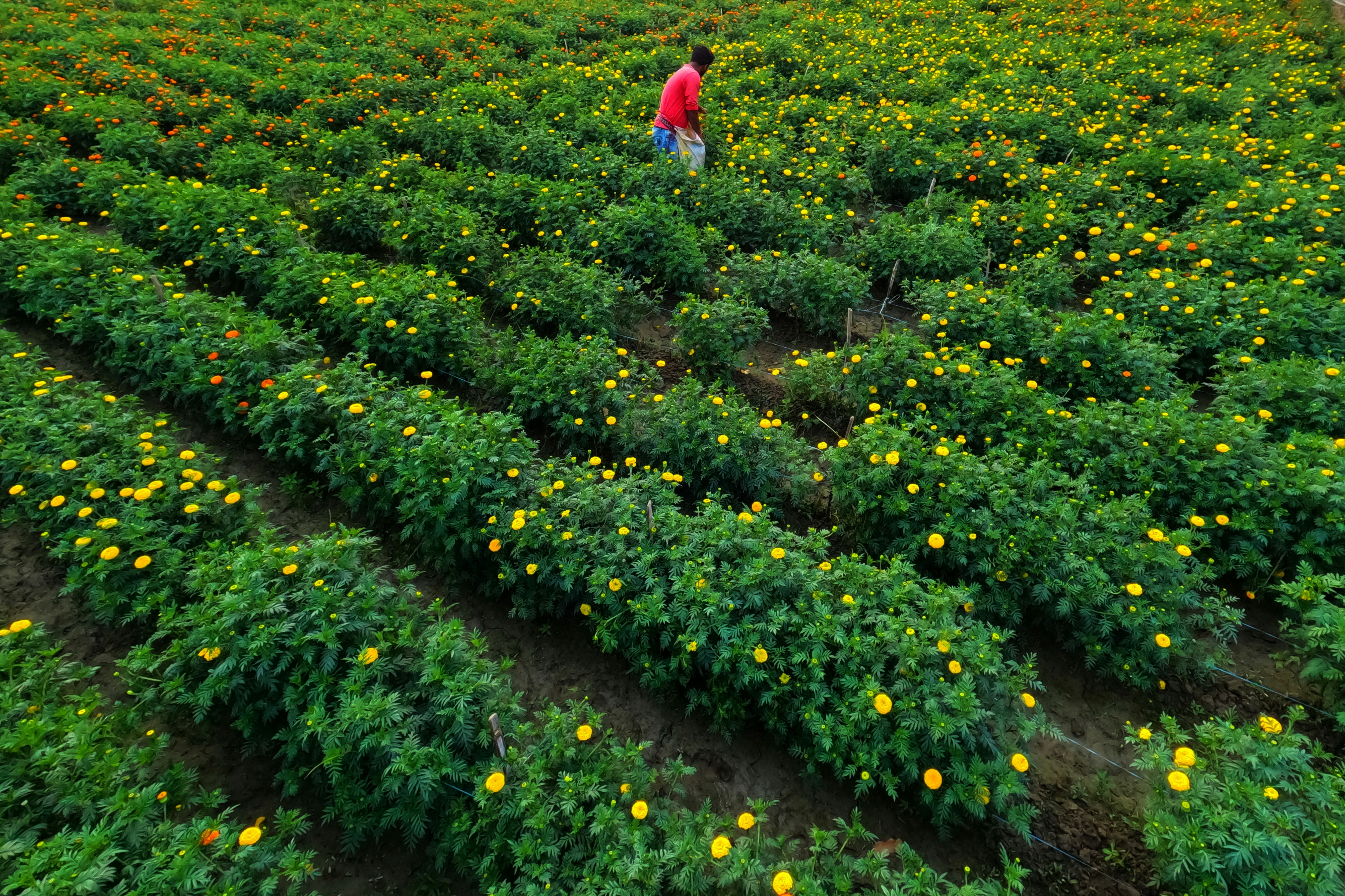 Photo by dibakar16roy