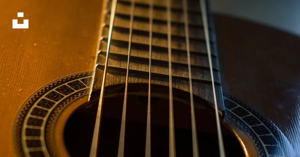 A close up of a guitar strings and strings photo – Free Musical ...