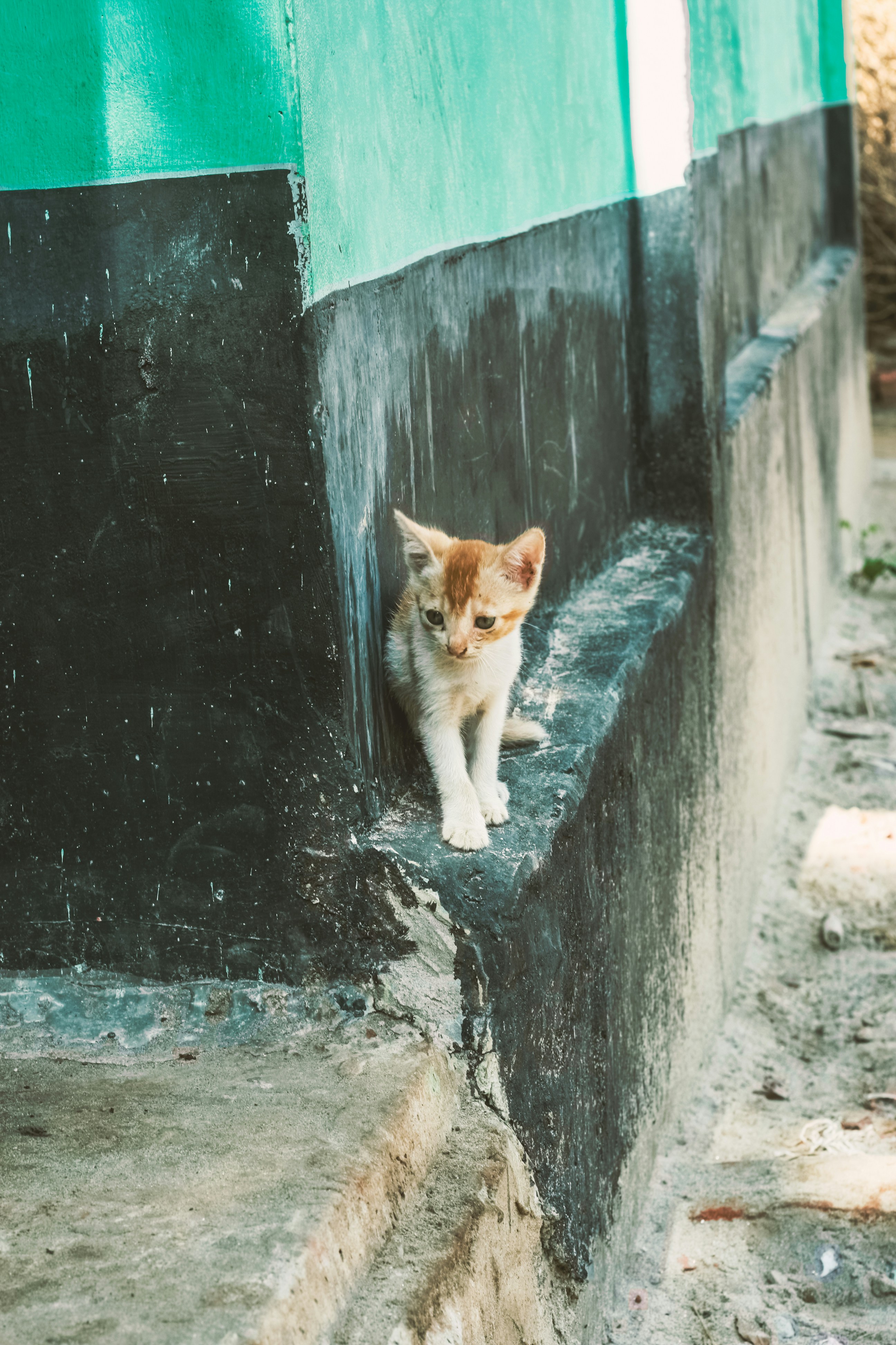 When to Worry About Excessive Solitude (image credits: unsplash)