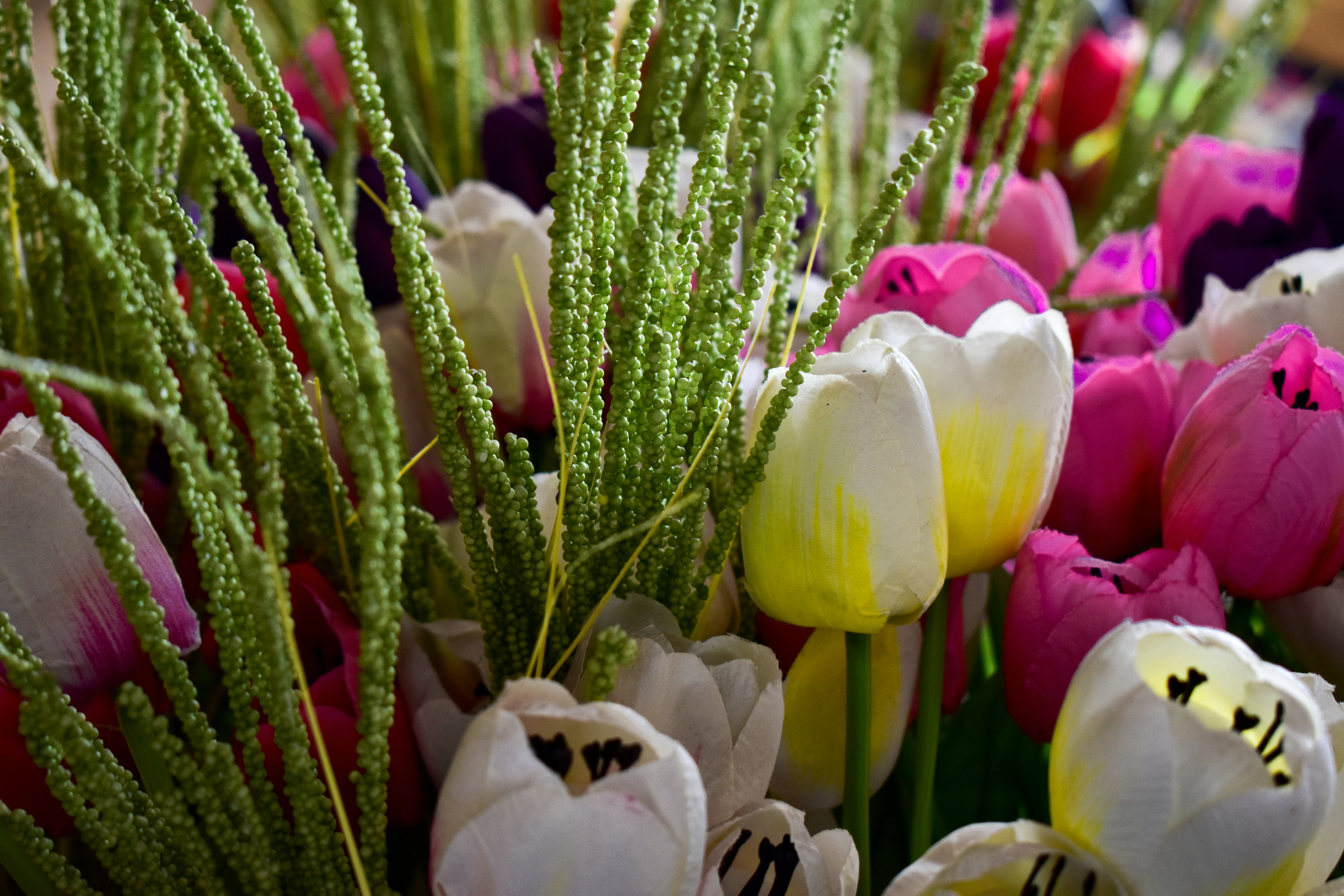 Photo by neelakshi_singh_